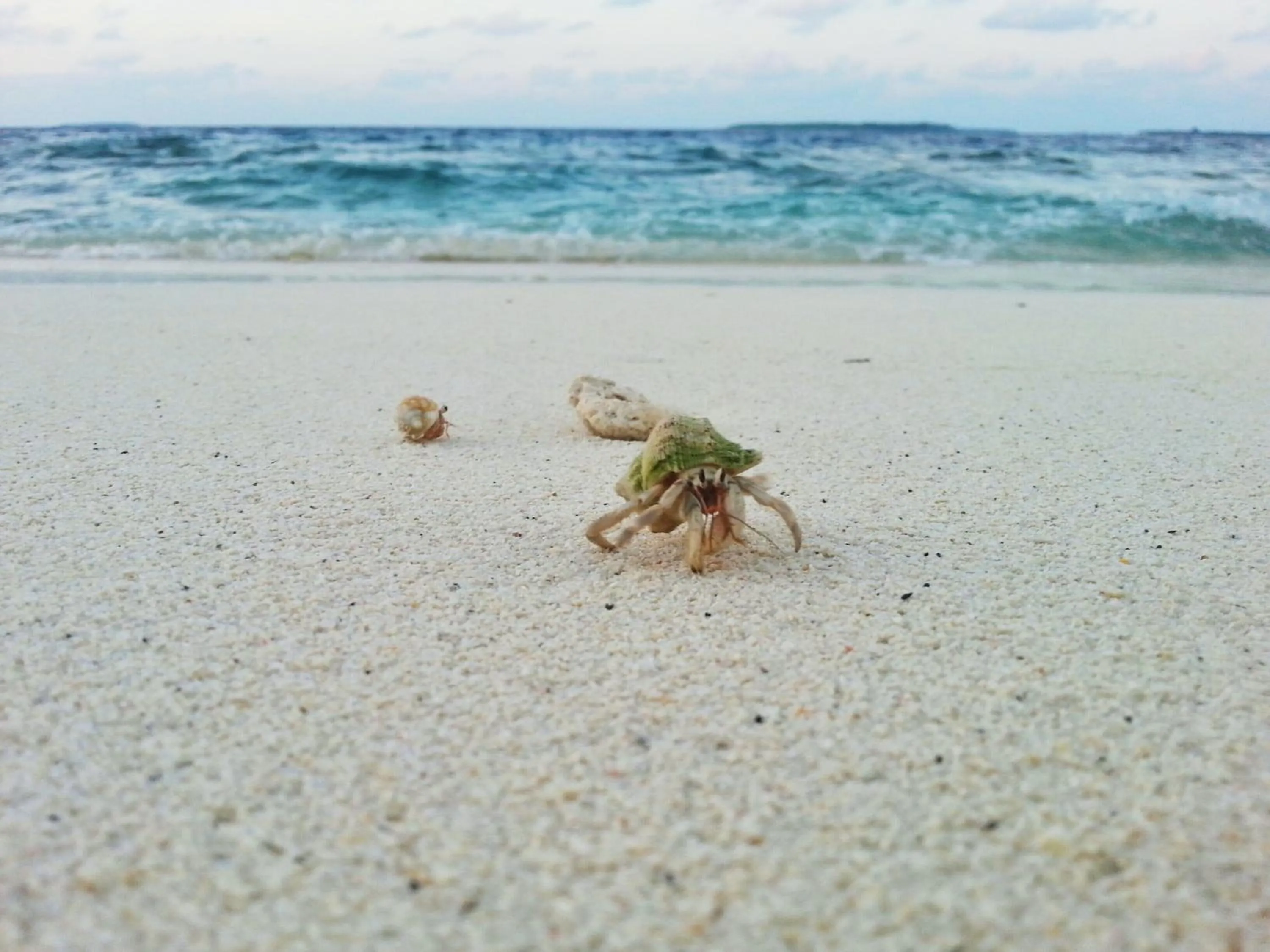 Day in LVIS blancura Hotel