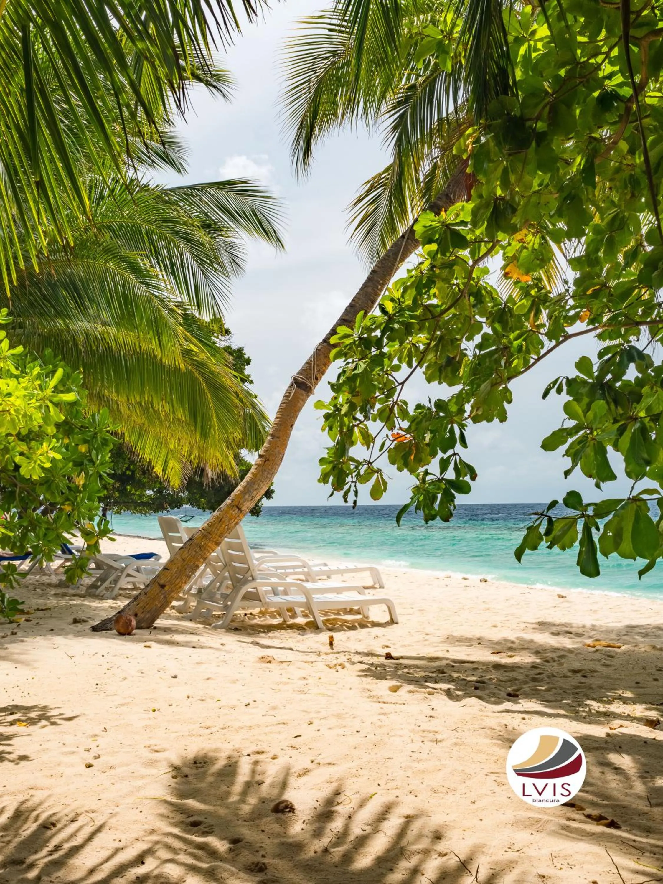 Beach in LVIS blancura Hotel