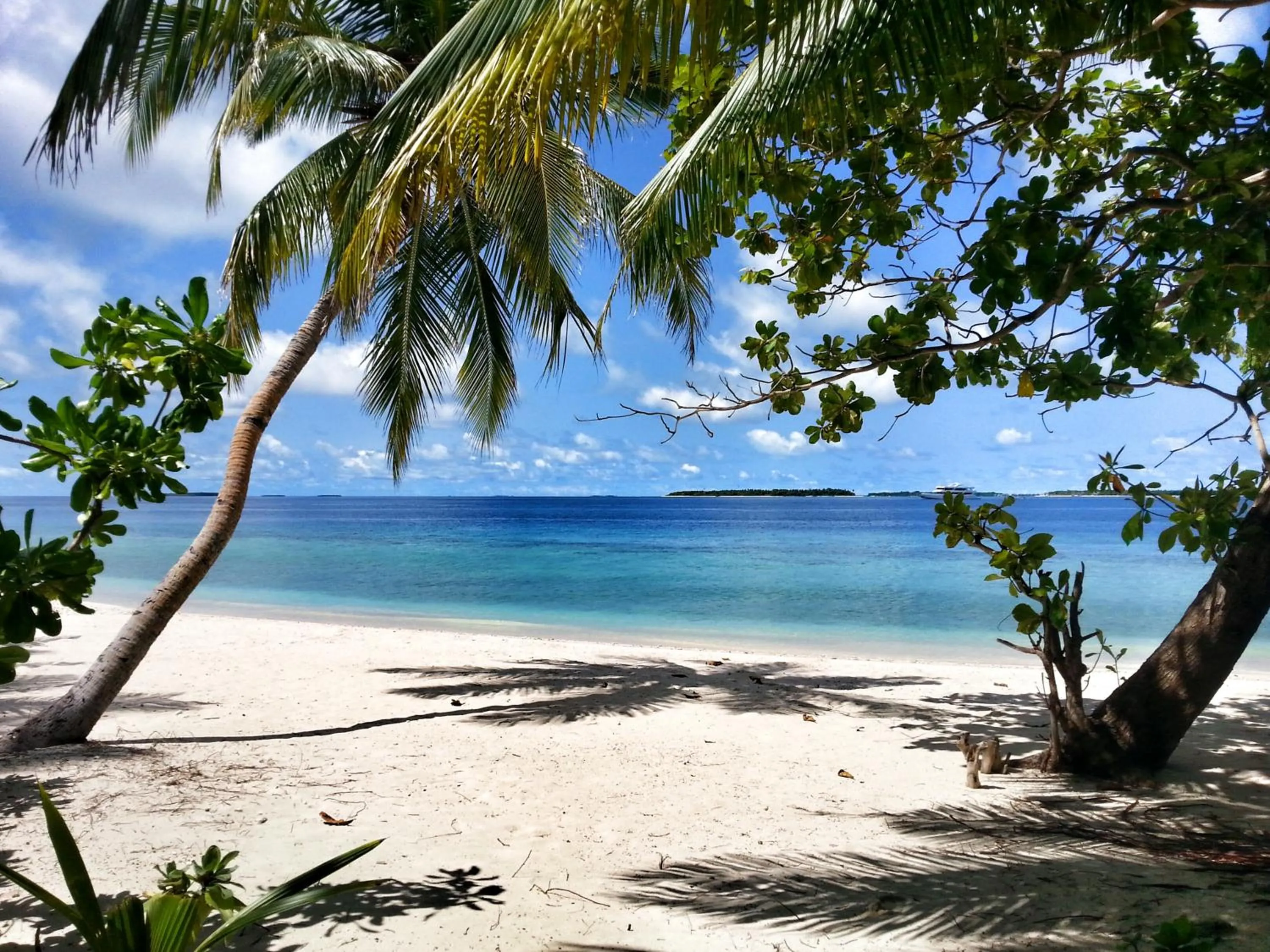 Beach in LVIS blancura Hotel