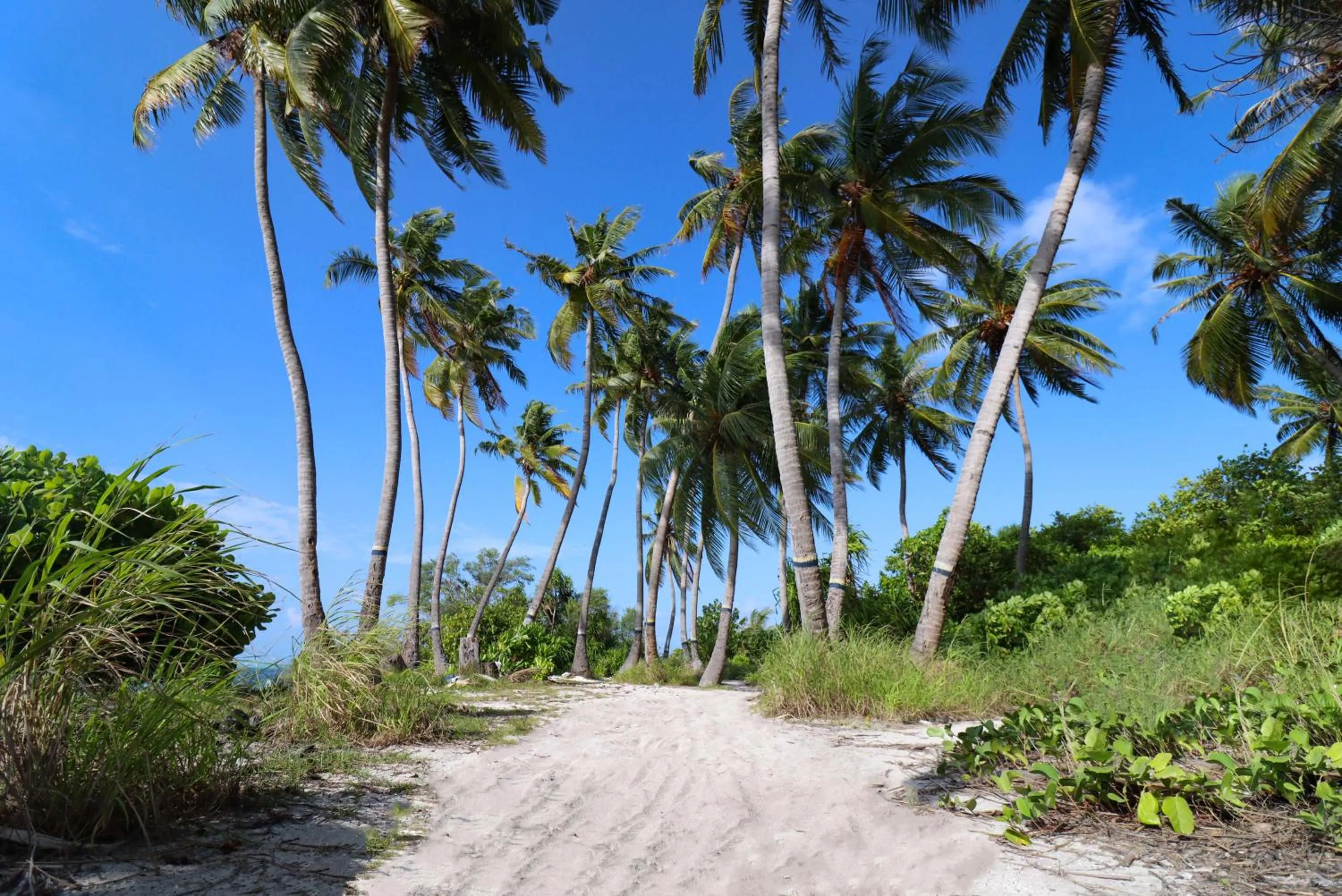 Natural landscape in Rashu Hiyaa