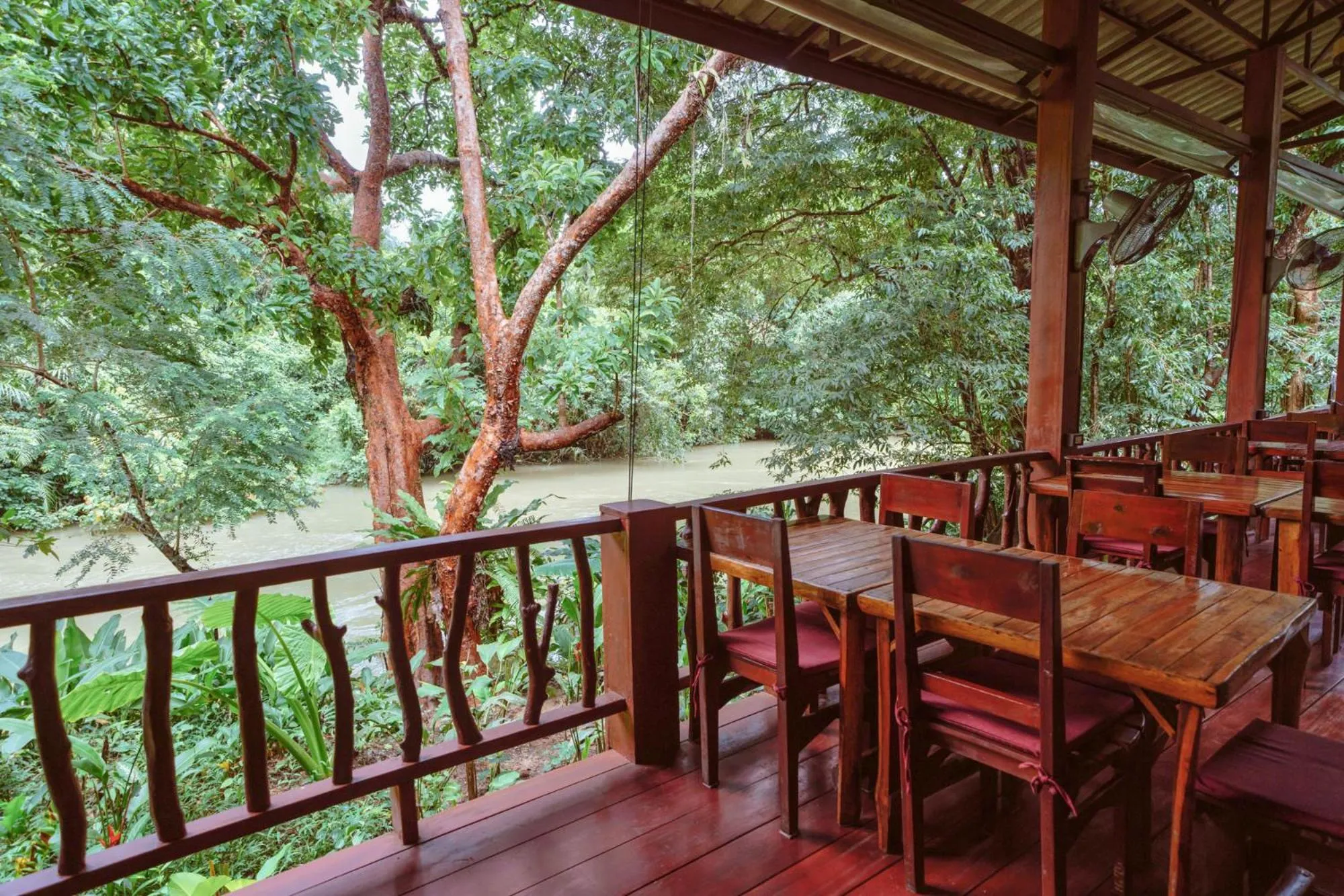 Restaurant/places to eat in Khao Sok Riverside Cottages