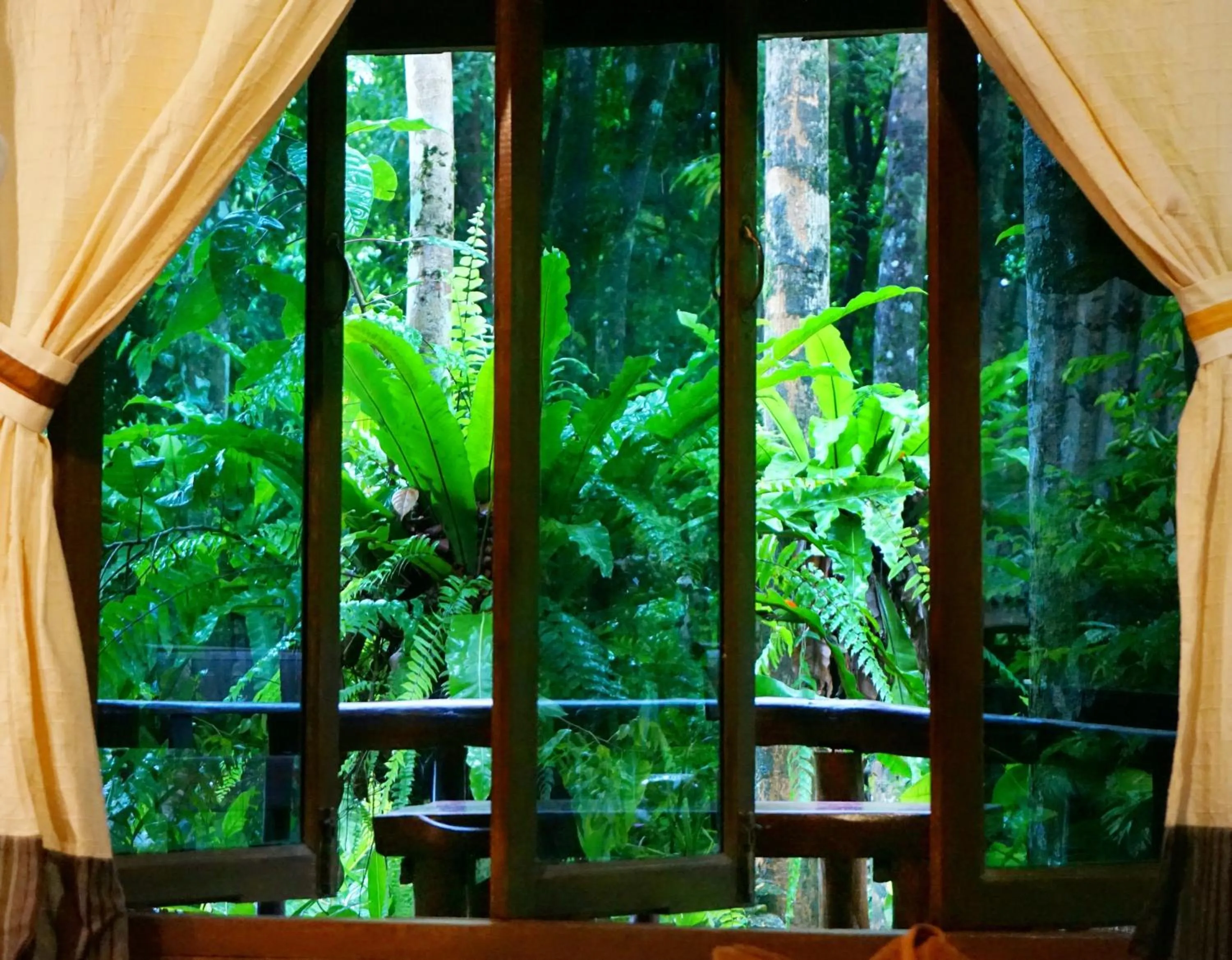 Garden in Khao Sok Riverside Cottages