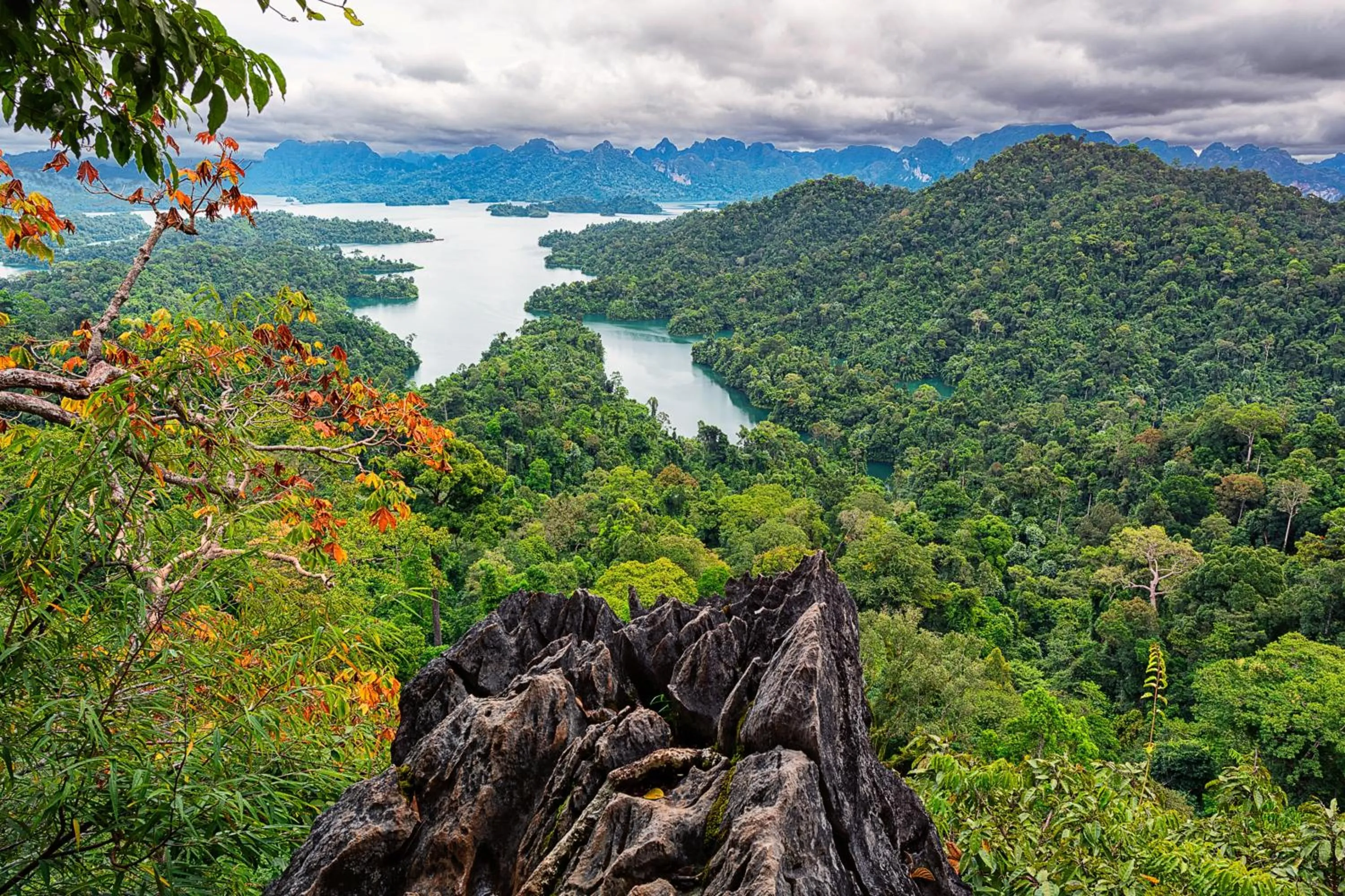 Natural landscape in Khao Sok Riverside Cottages