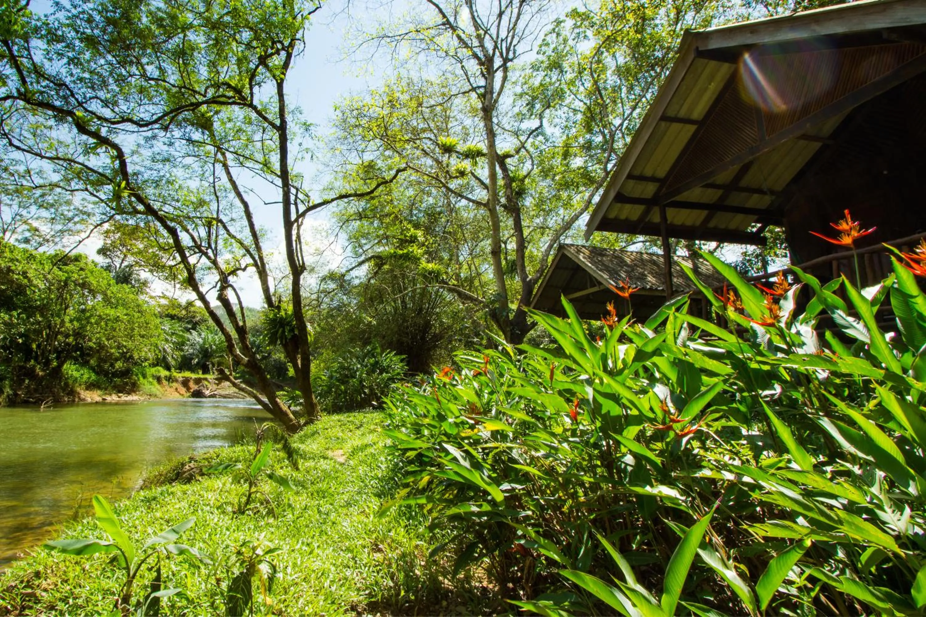 Day in Khao Sok Riverside Cottages