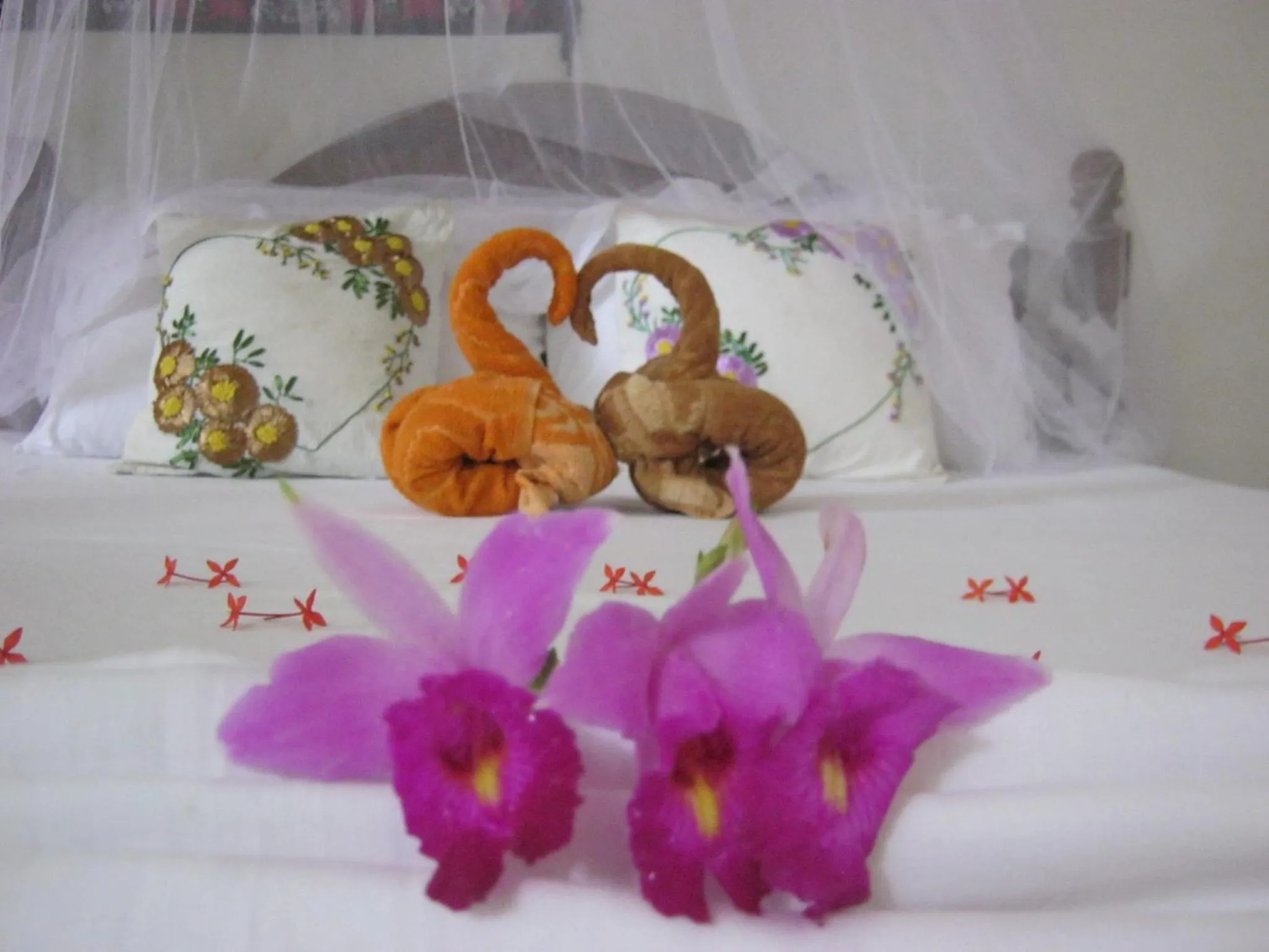 Bed in Arcade Beach Hotel