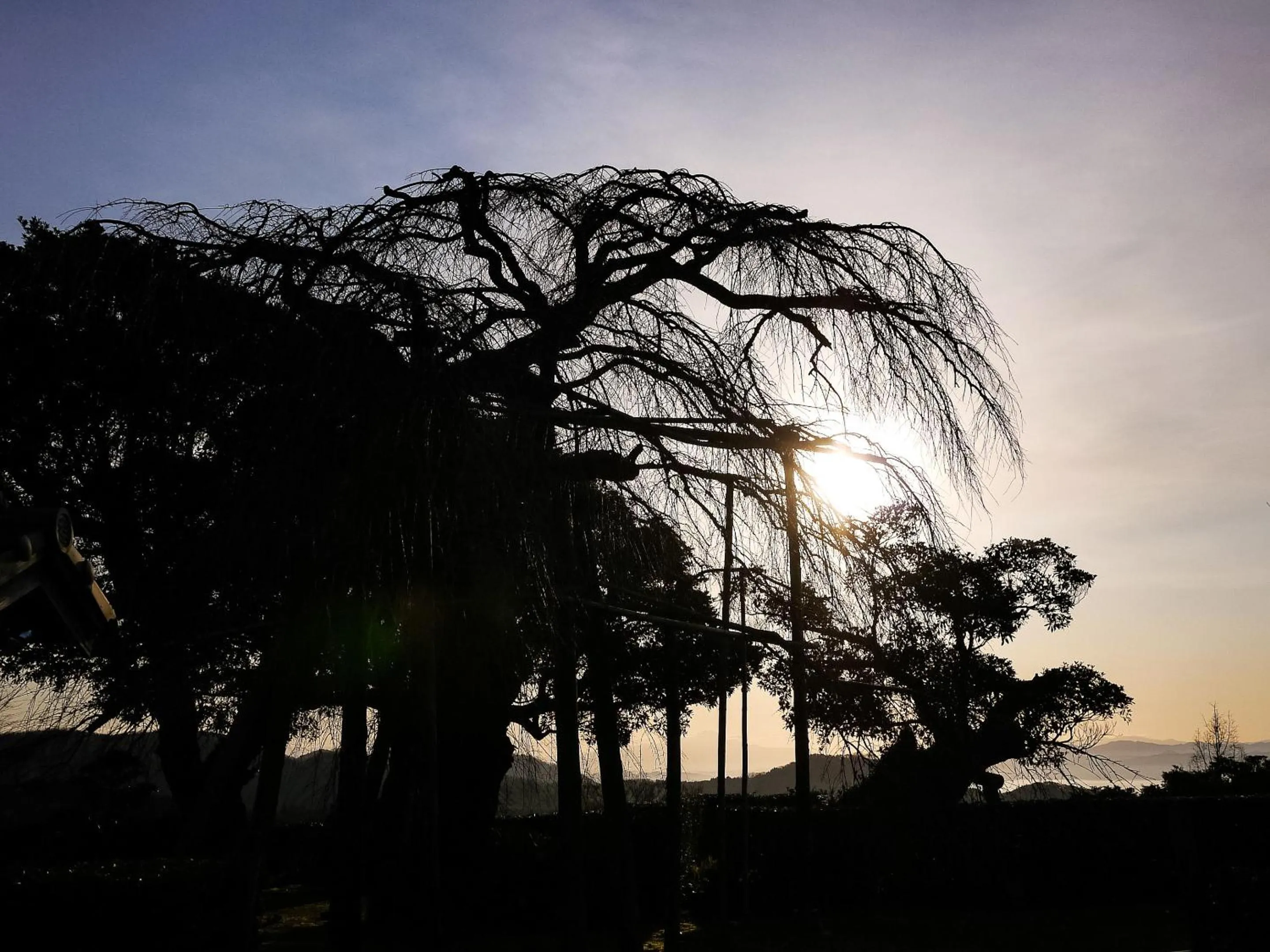 Natural landscape in Mt Ichibata Cottage