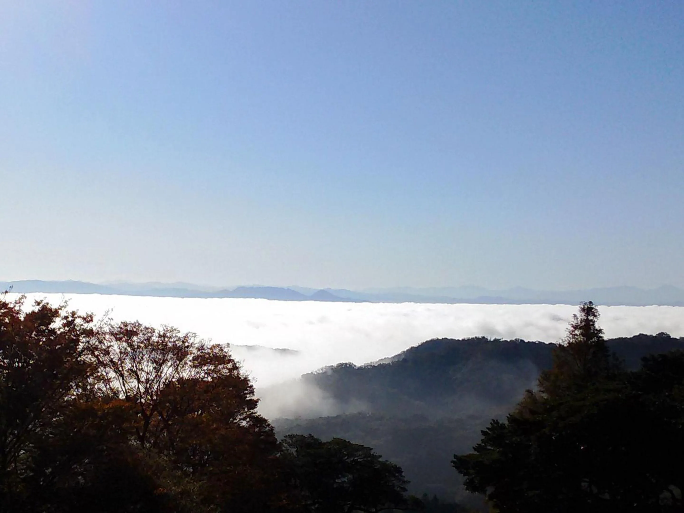 Natural landscape in Mt Ichibata Cottage