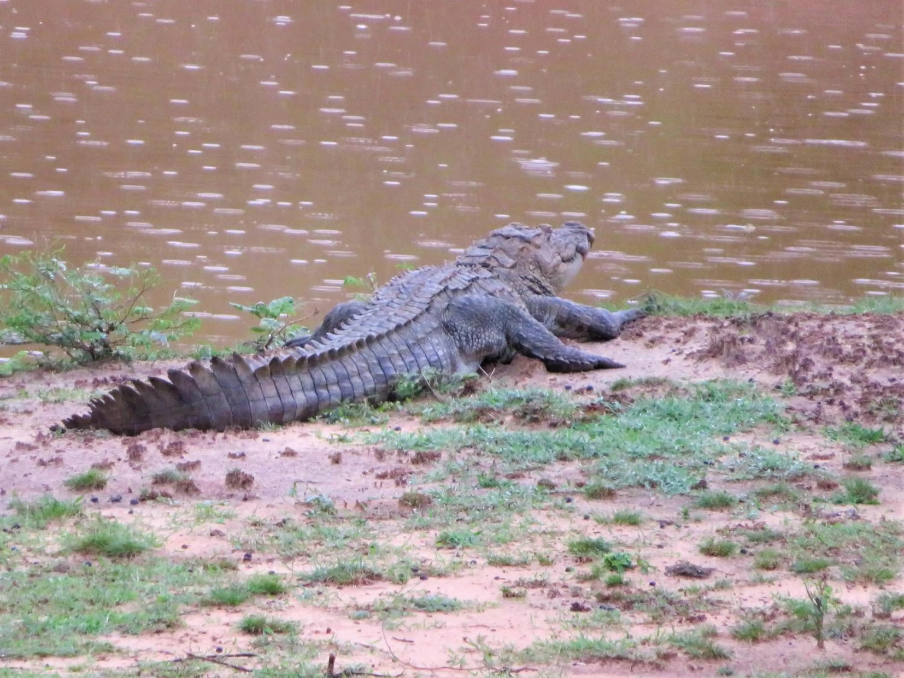 Activities in Blue Turtle Hotel