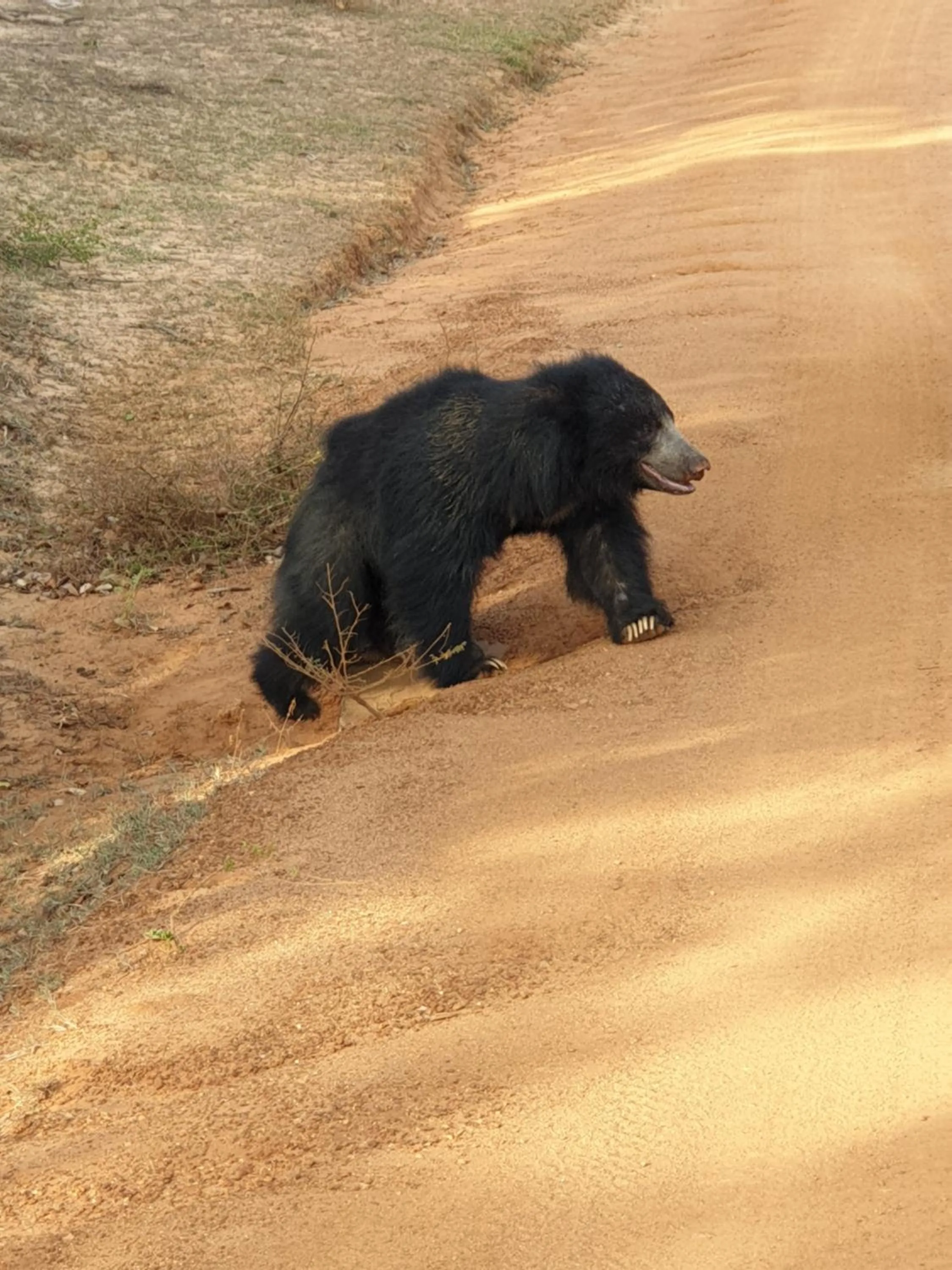 Activities in Blue Turtle Hotel