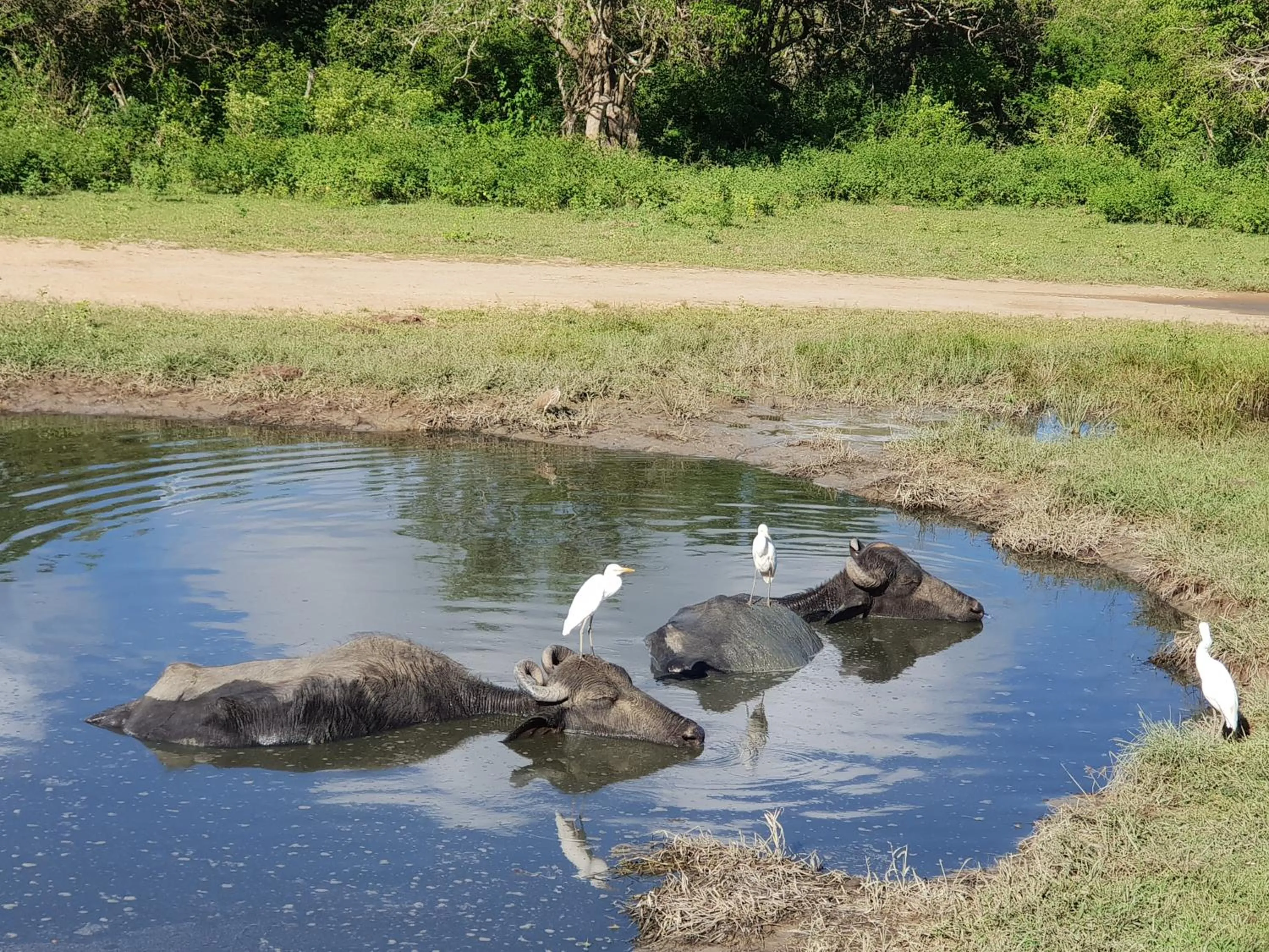 Natural landscape in Blue Turtle Hotel