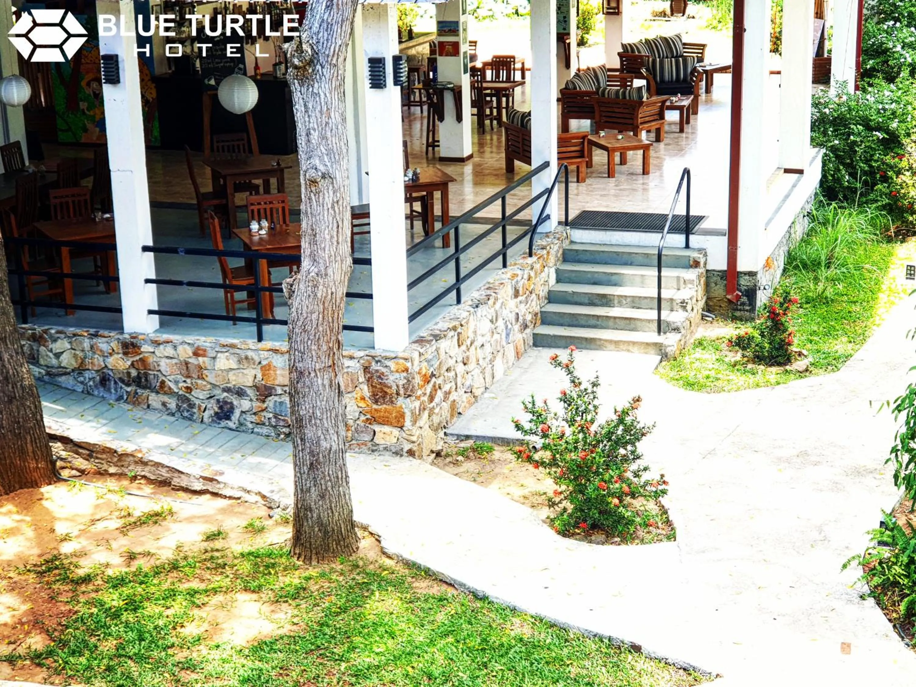 Restaurant/places to eat in Blue Turtle Hotel