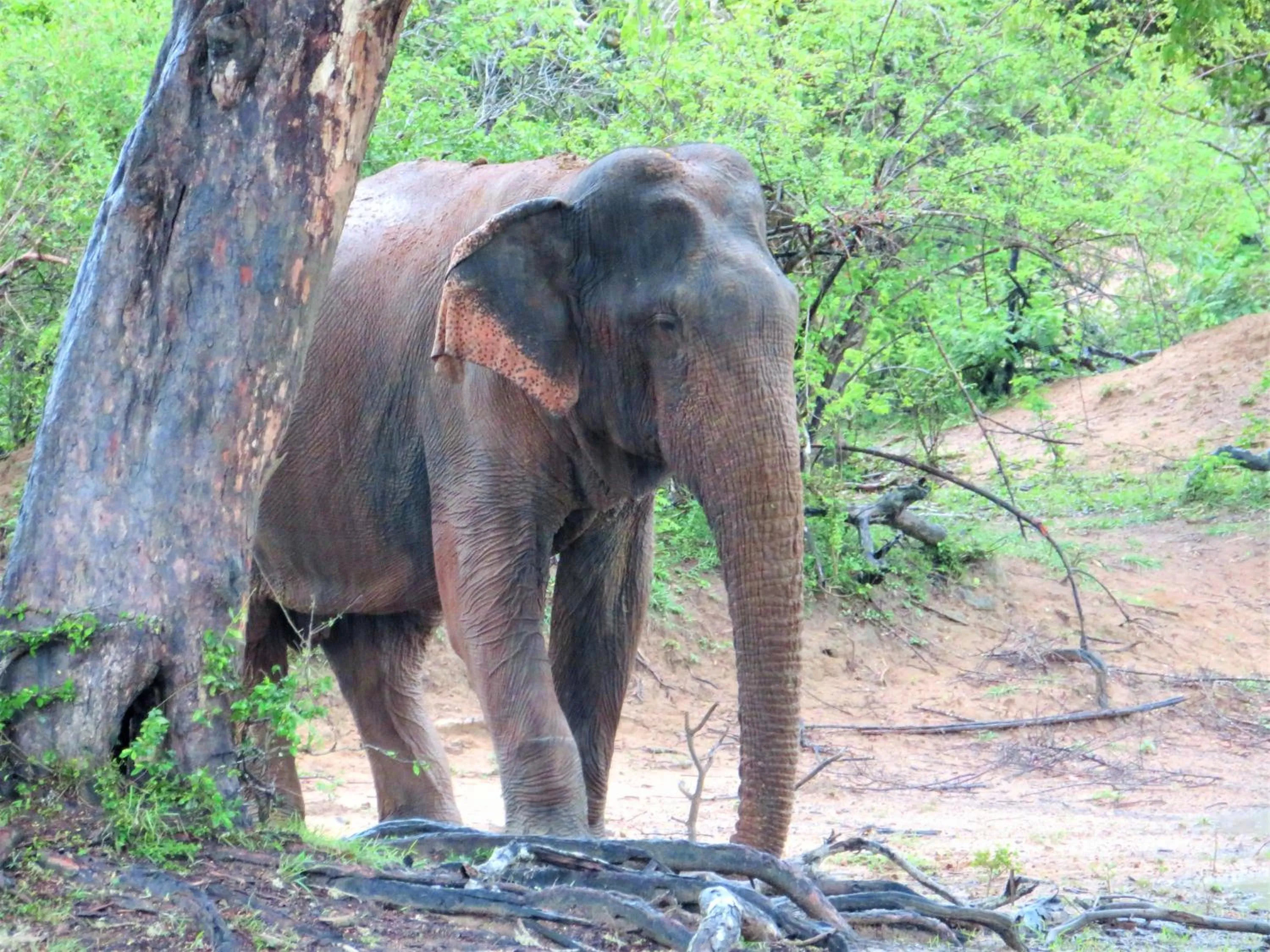 Activities in Blue Turtle Hotel