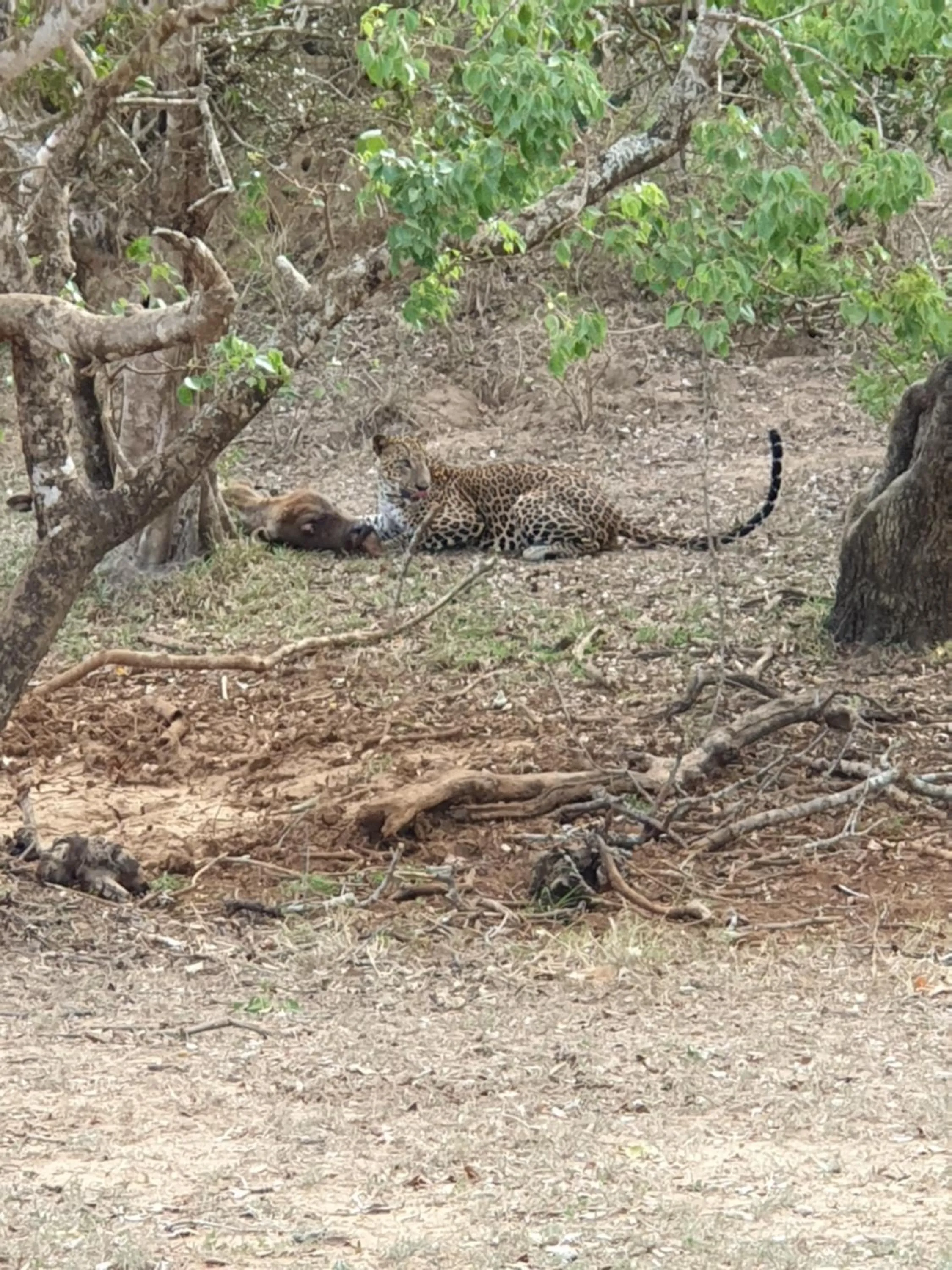 Activities in Blue Turtle Hotel