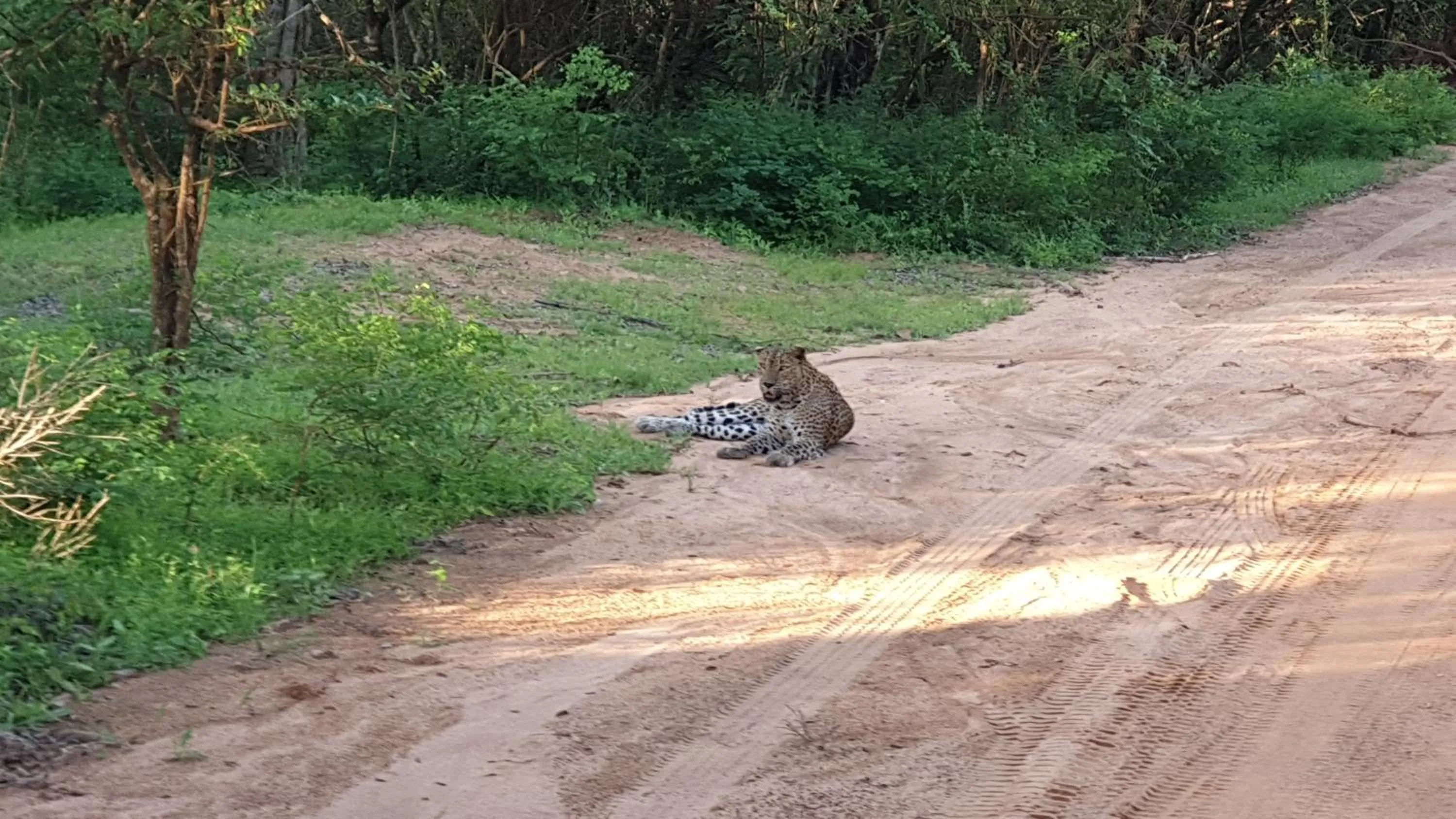 Natural landscape in Blue Turtle Hotel