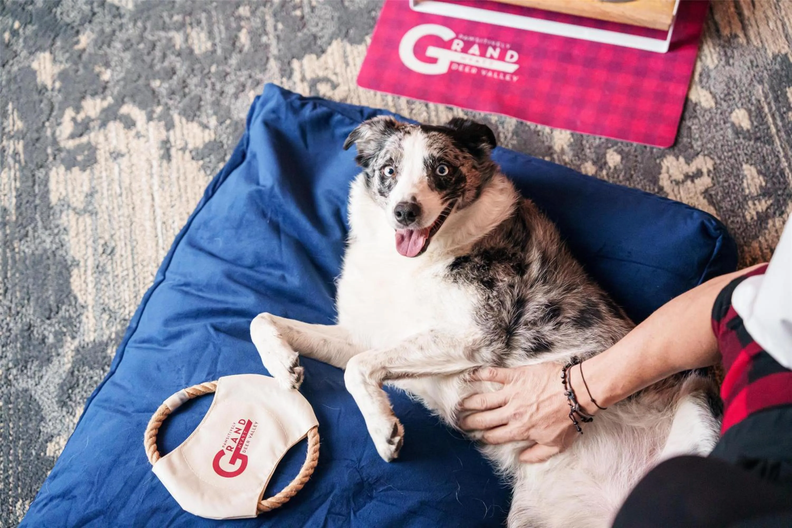 Bedroom in Grand Hyatt Deer Valley
