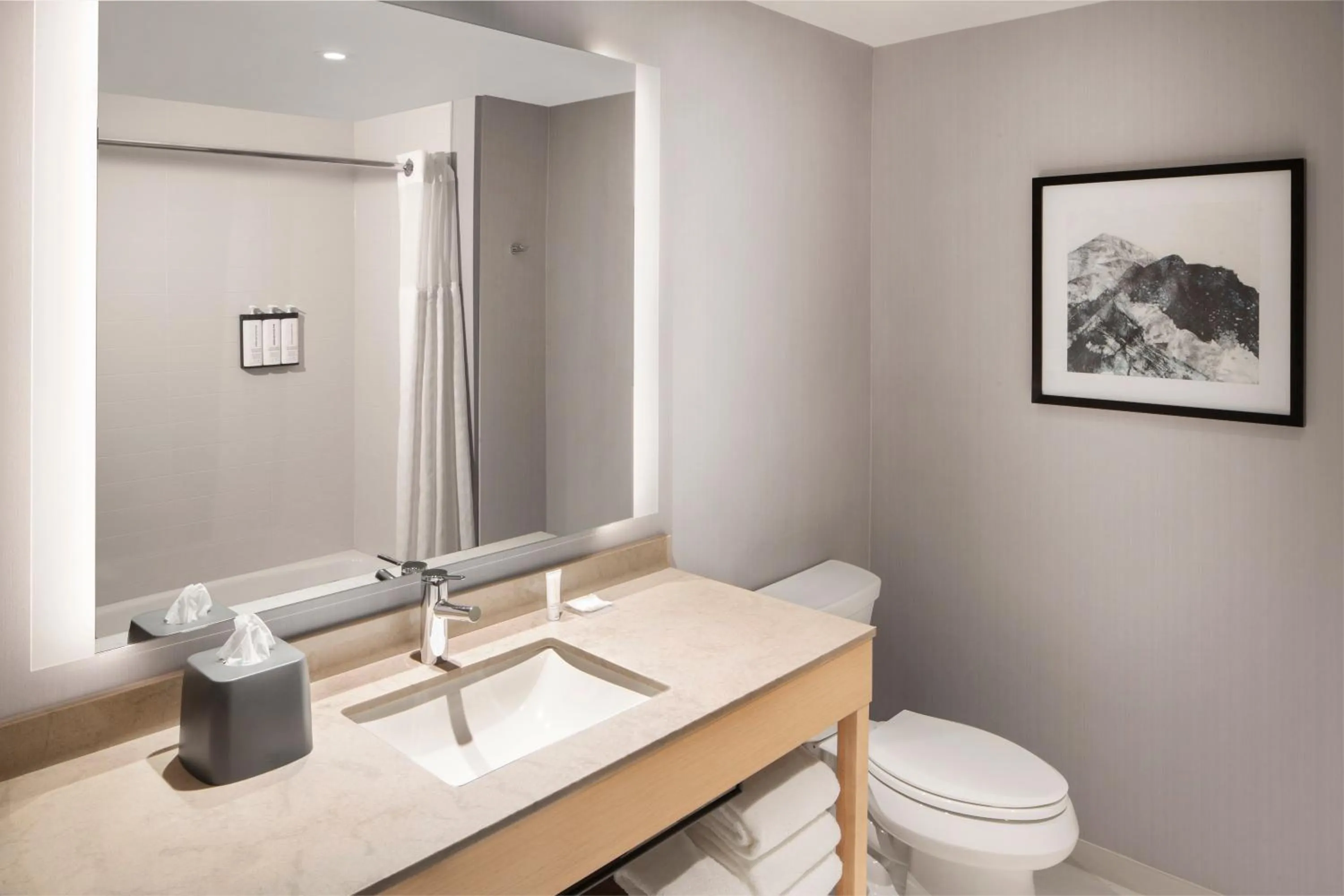 Bathroom in Hyatt Place Reno