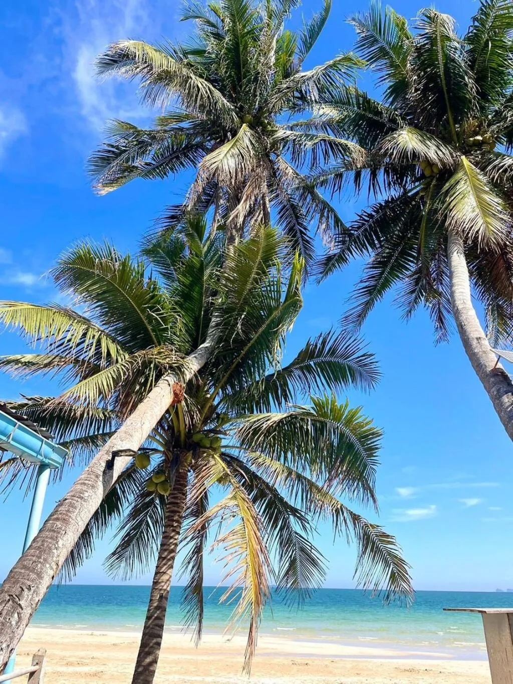 Hotel Seaview Pirates Terrace