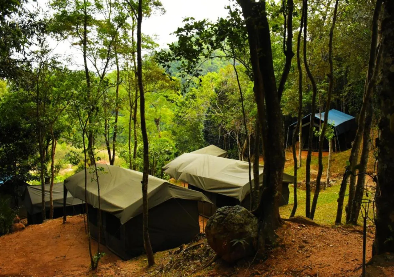 View (from property/room) in Belihuloya Adventure Camp By Eco Team