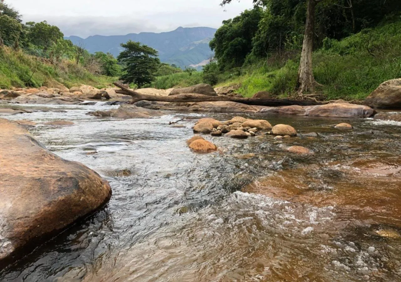 View (from property/room) in Belihuloya Adventure Camp By Eco Team