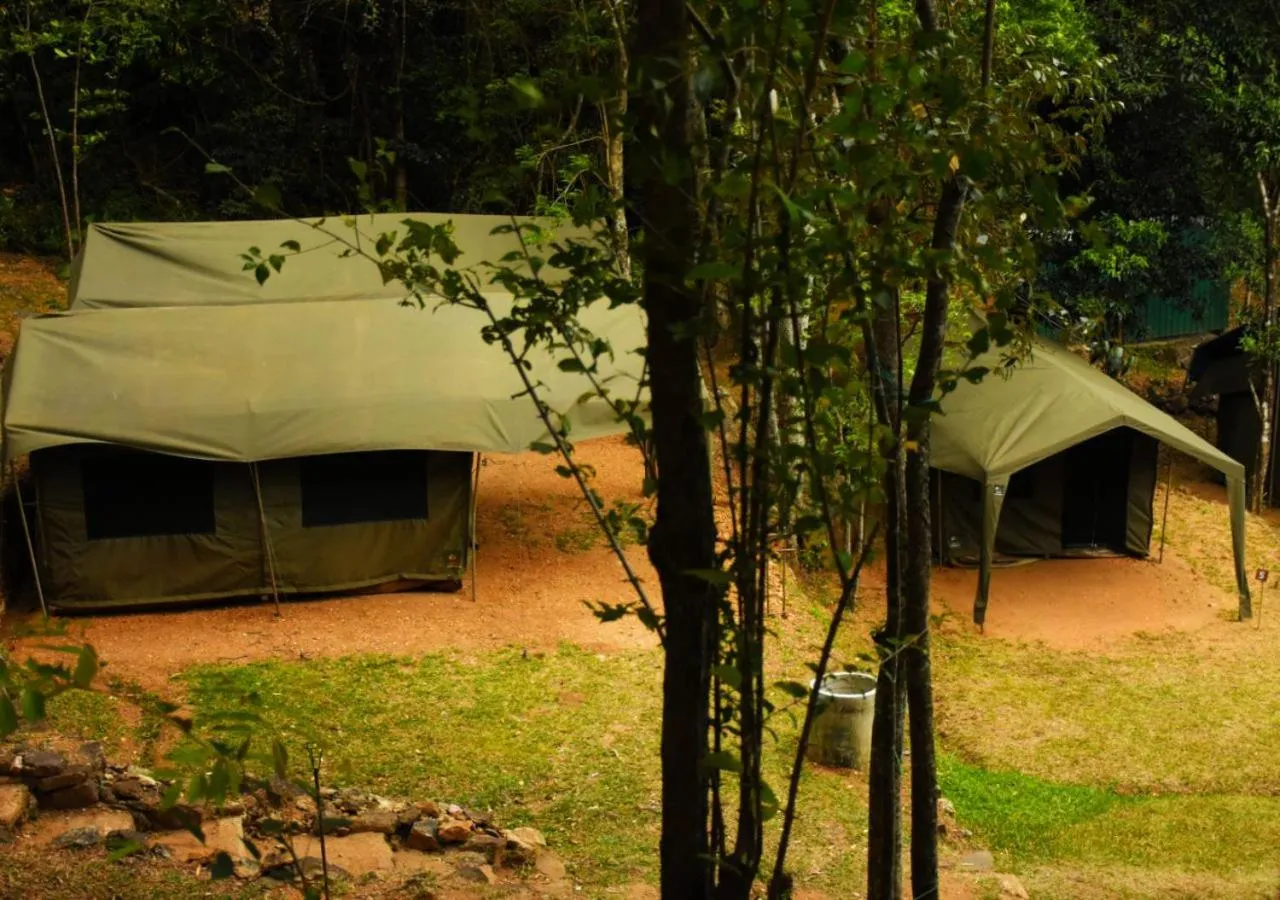 View (from property/room) in Belihuloya Adventure Camp By Eco Team