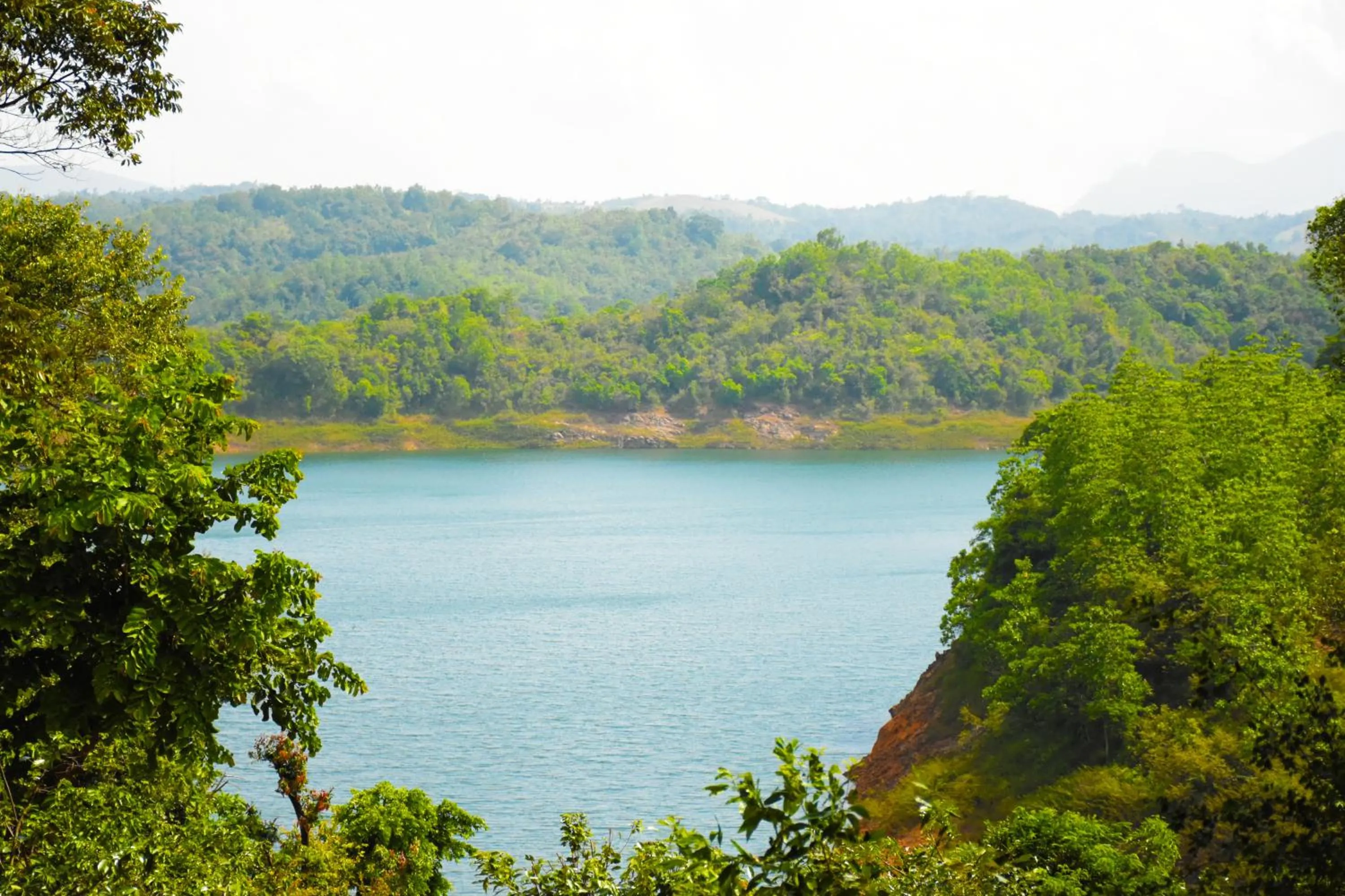 View (from property/room) in Belihuloya Adventure Camp By Eco Team