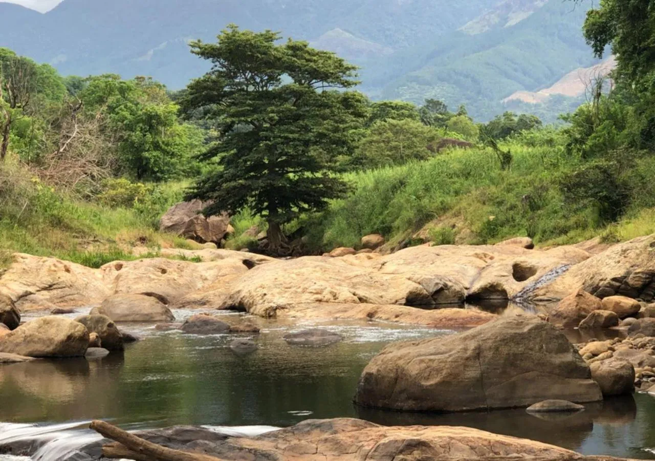 Entertainment in Belihuloya Adventure Camp By Eco Team