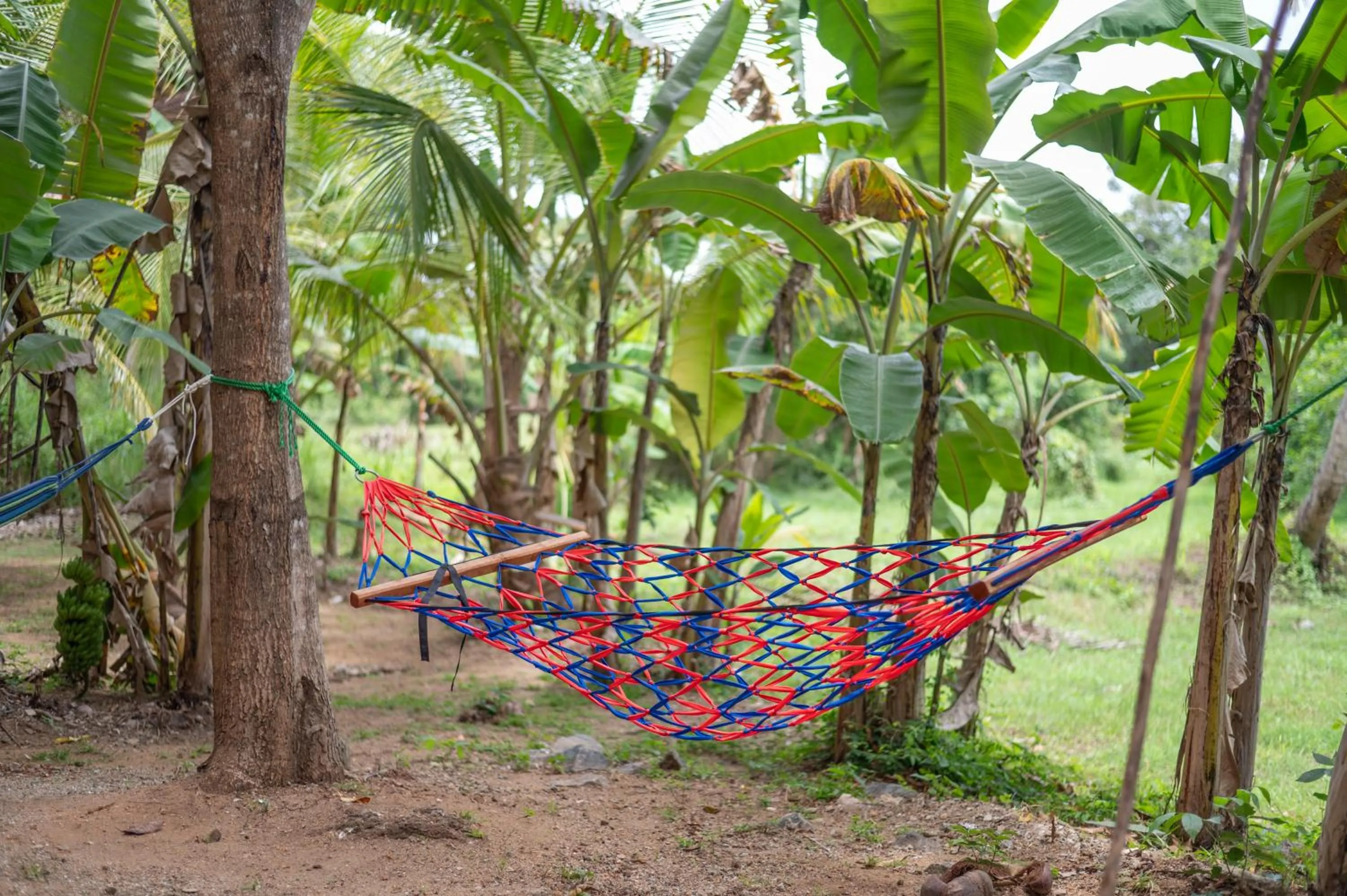 Property building in Ayurvedic Lanka Wellness Hotel