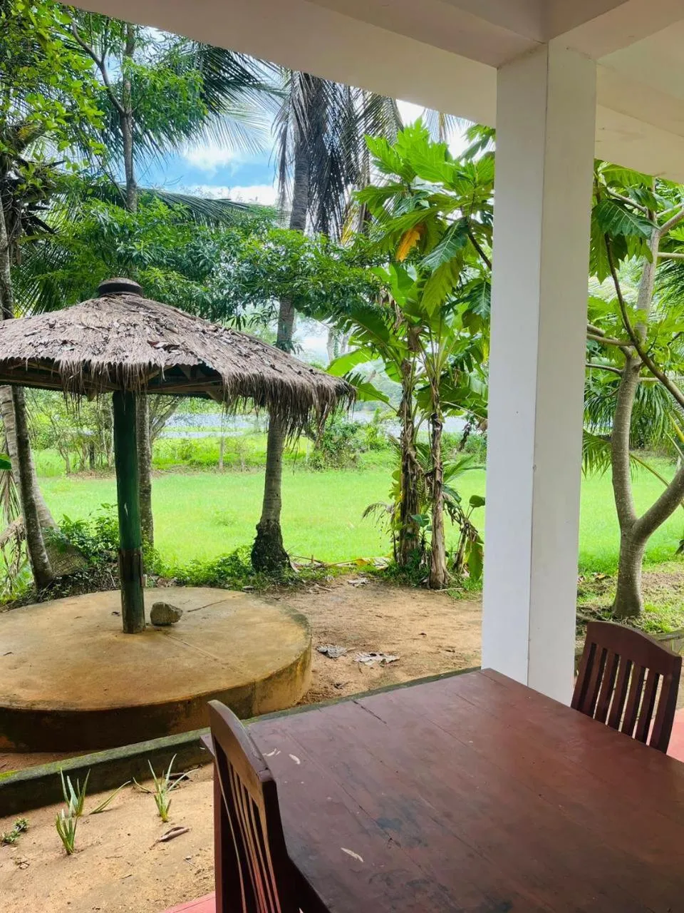 Balcony/Terrace in Ayurvedic Lanka Wellness Hotel