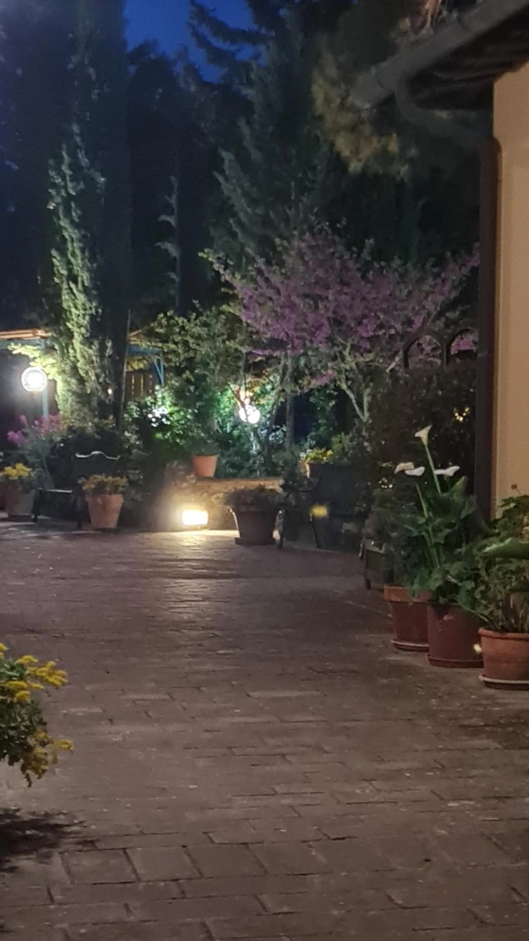 Property building in Antico Borgo Il Cardino