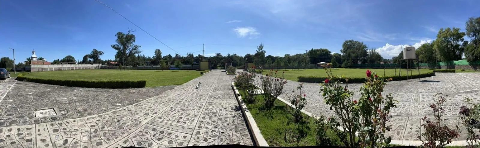 Garden in Hotel Renacer