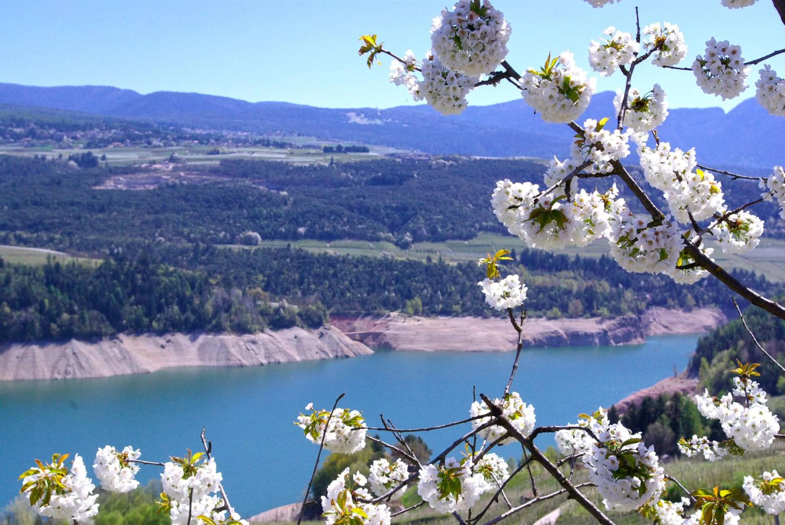 Other in B&B Incanto