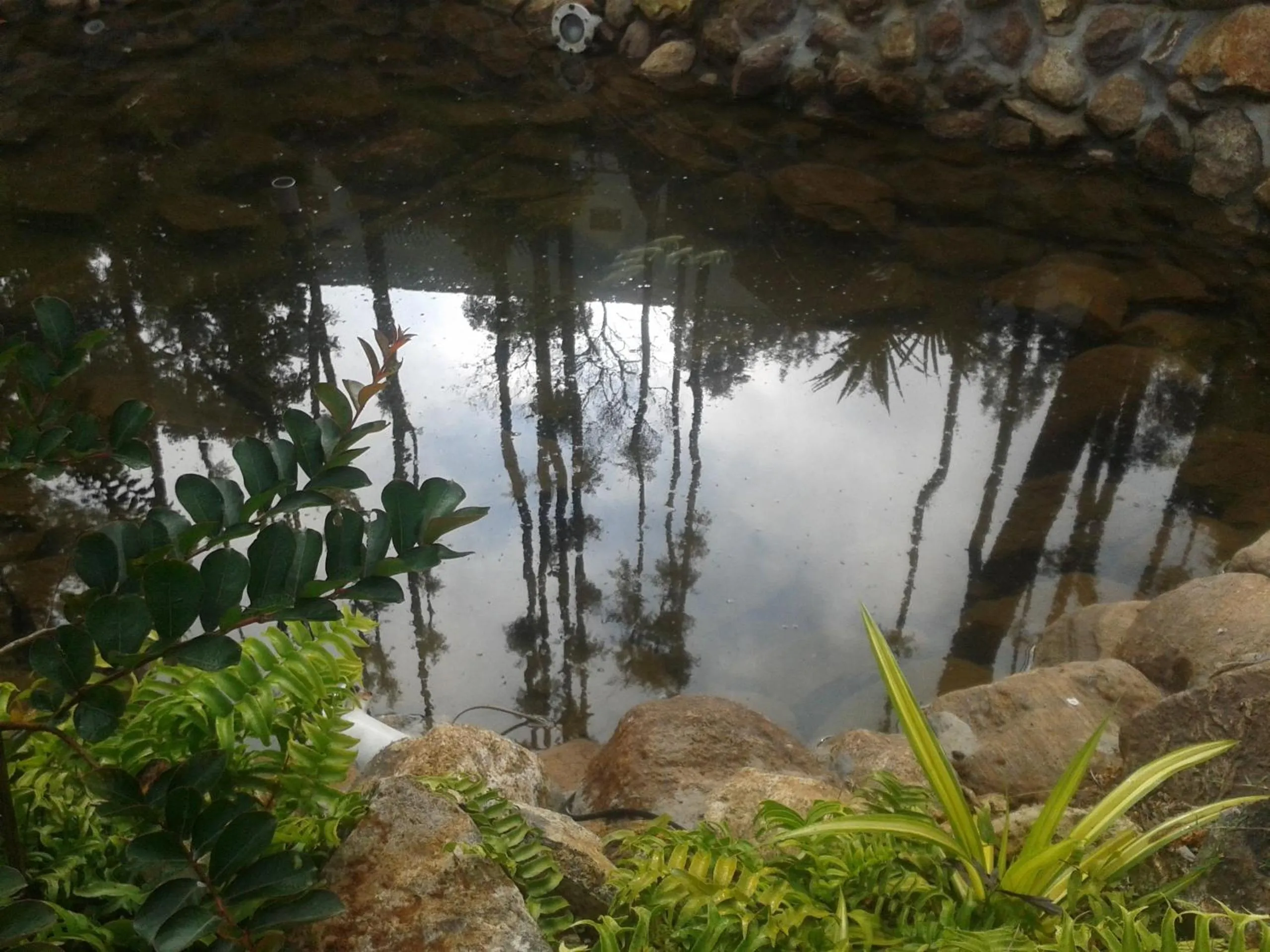 Other in Happy Nest Yercaud