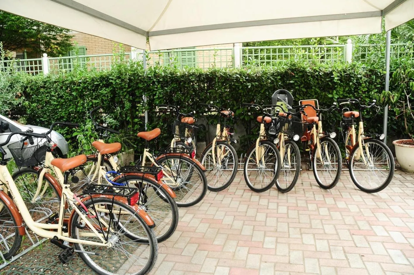 Activities in Hotel Rosenblatt