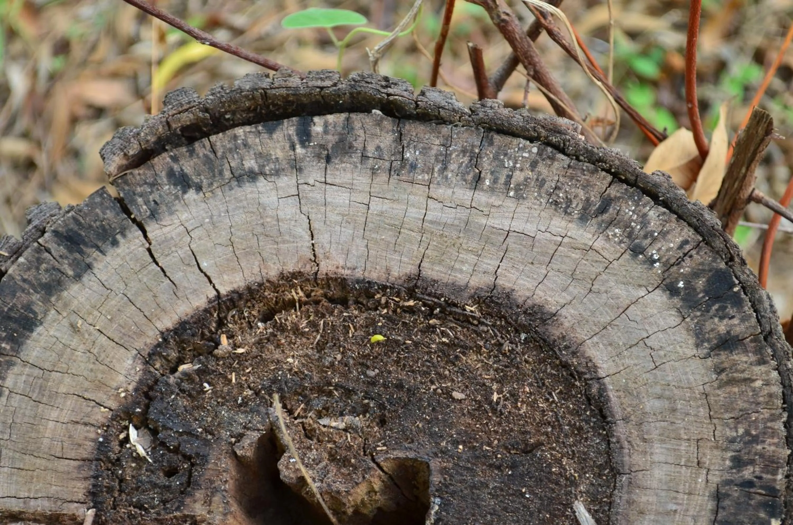 On site in Vallee 69 Eco Villa-Tissa,Yala