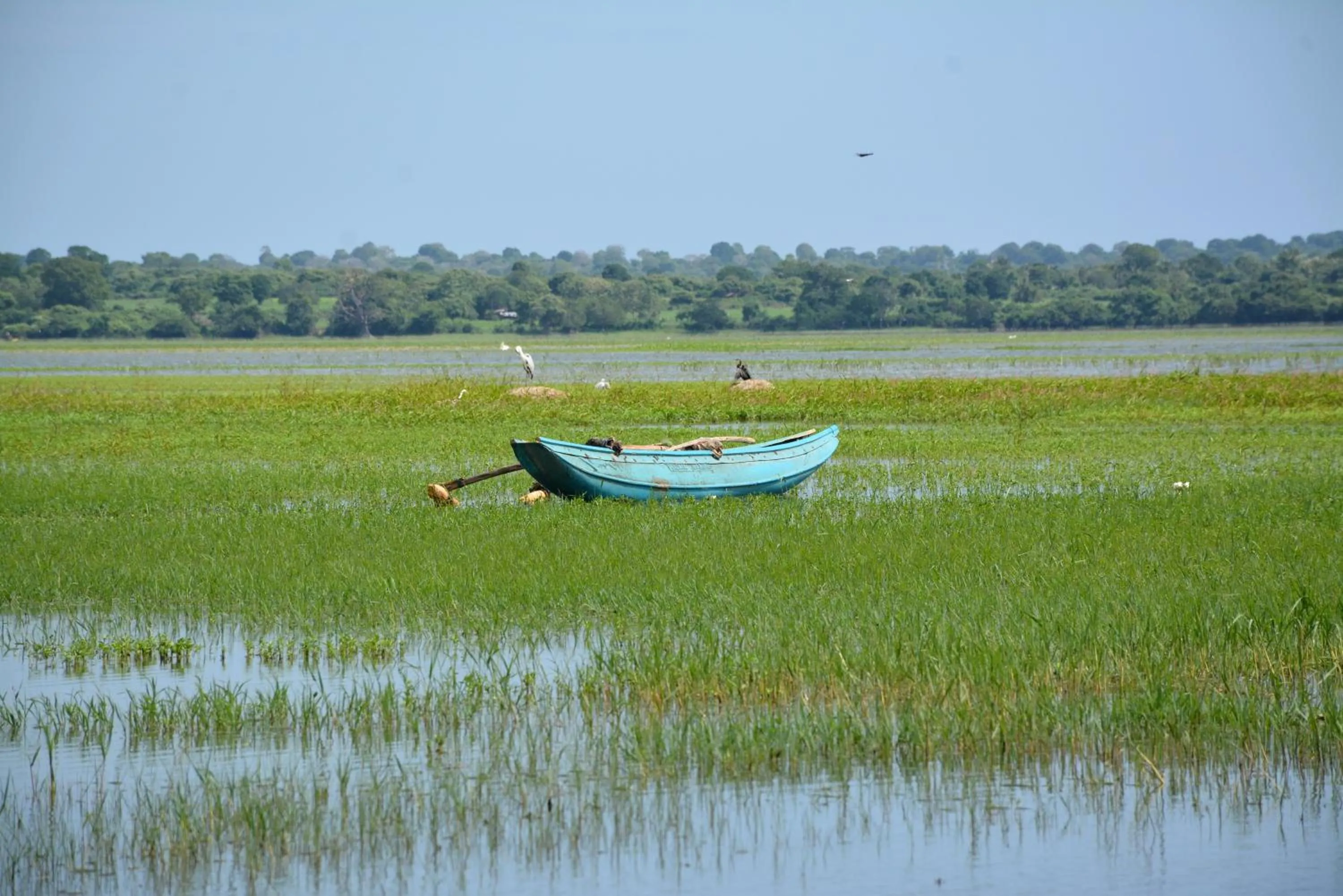 Area and facilities in Vallee 69 Eco Villa-Tissa,Yala