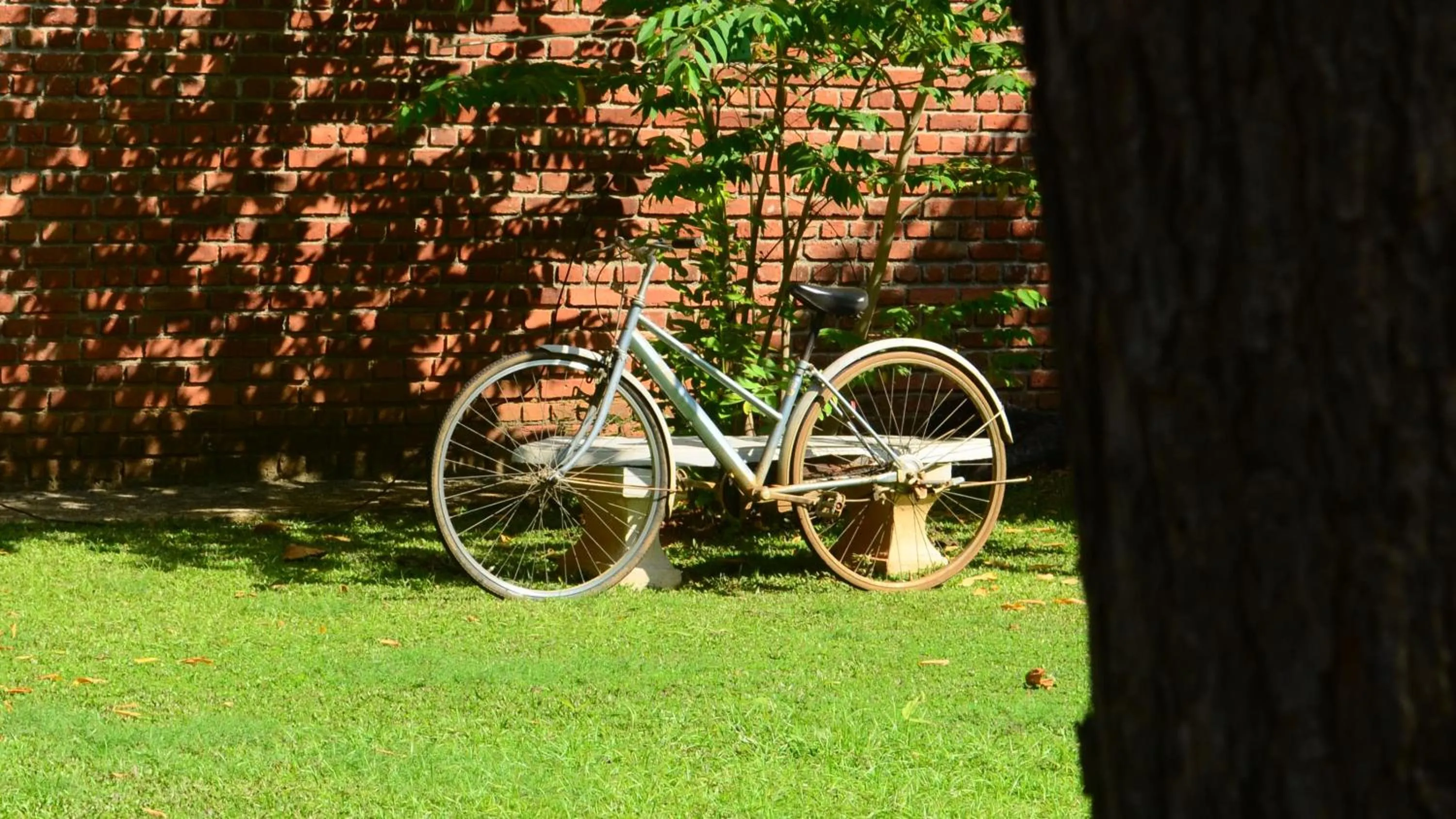 Garden in Vallee 69 Eco Villa-Tissa,Yala