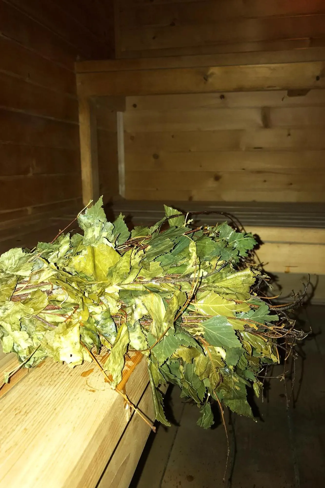 Sauna in Sirvis Apartamenty