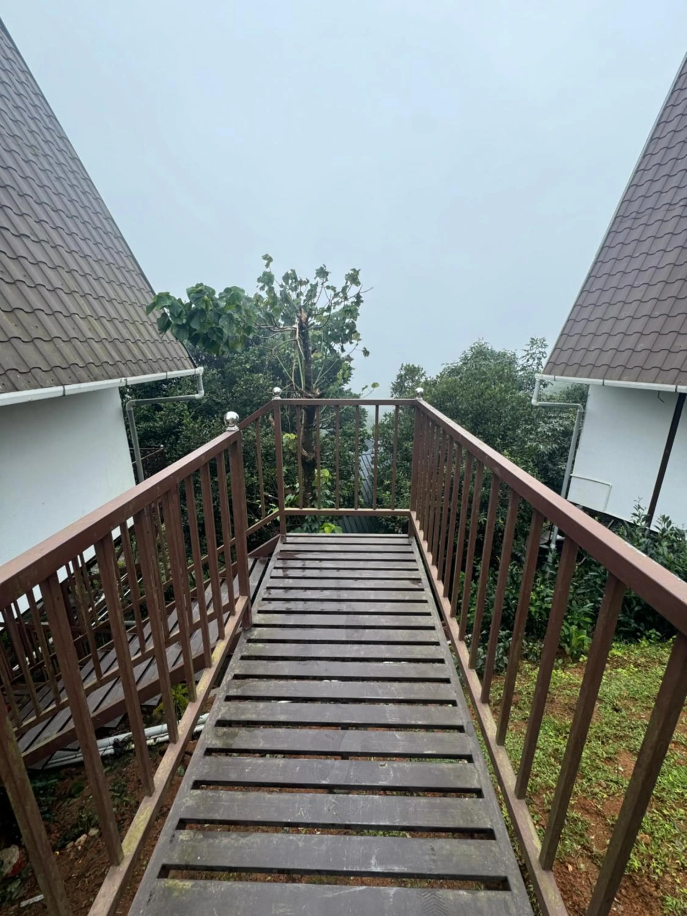 View (from property/room) in Jmount Vagamon Resort