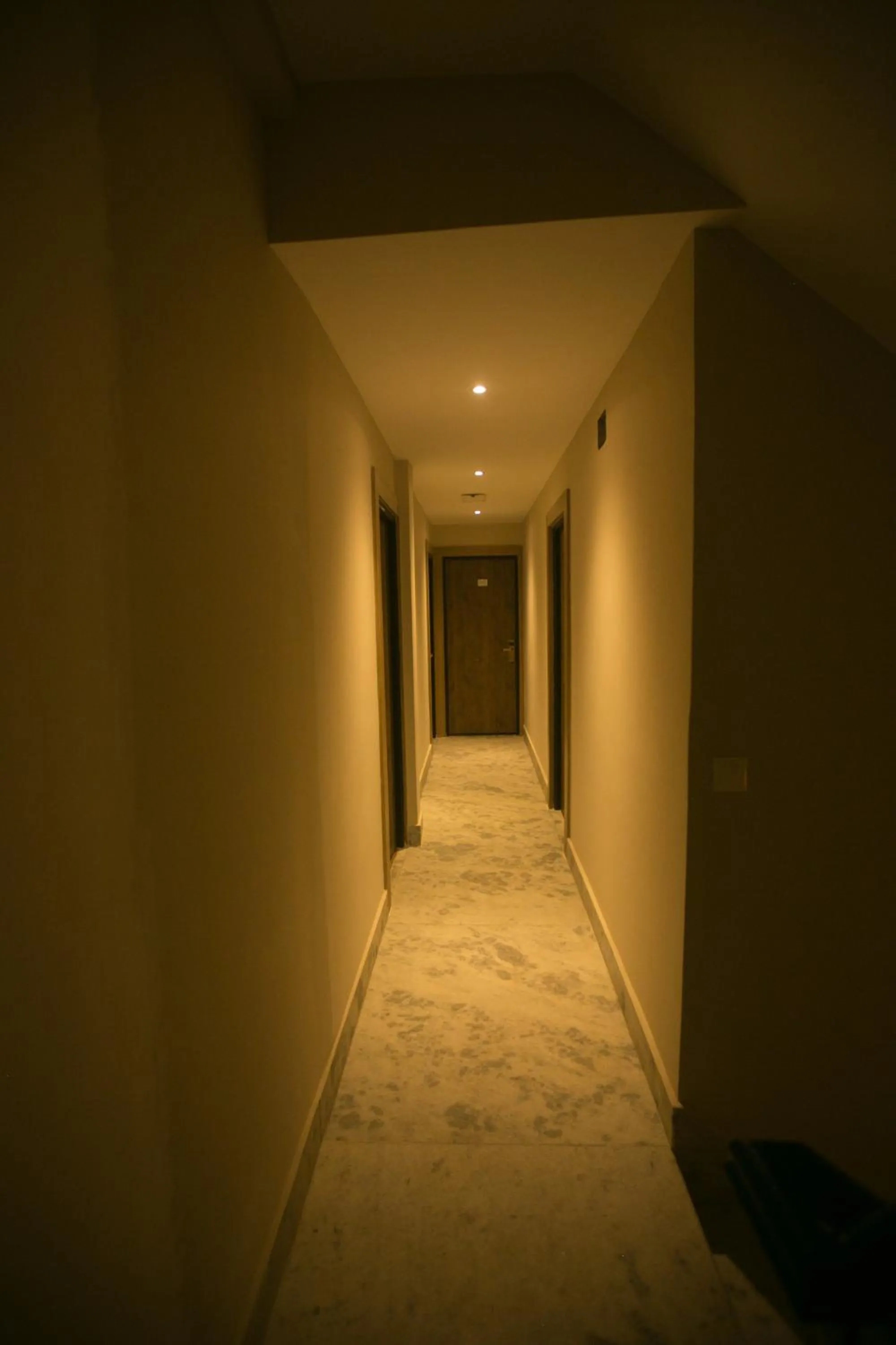 Area and facilities in Divya Boutique Inn