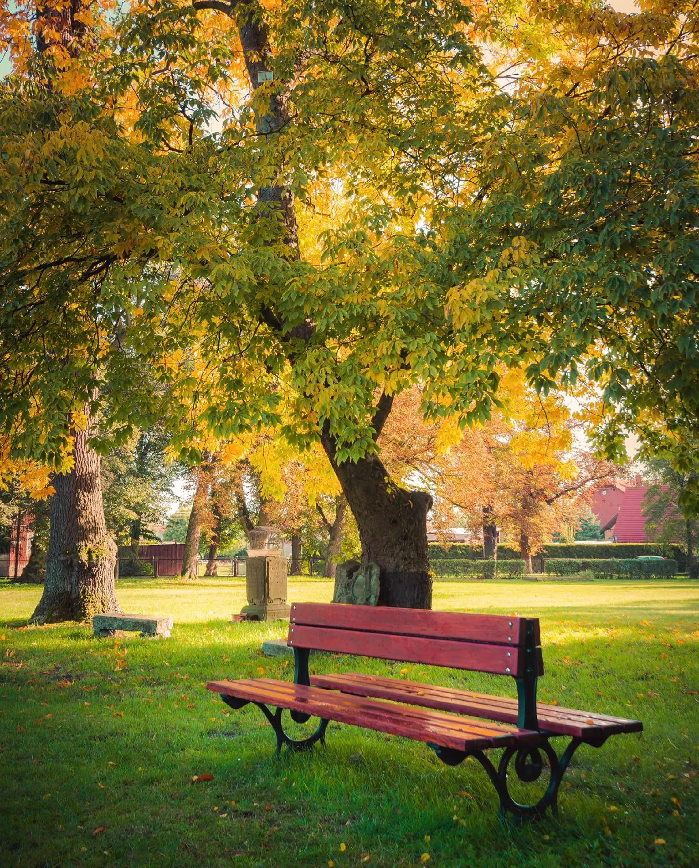 Garden in Zamek Dobroszyce