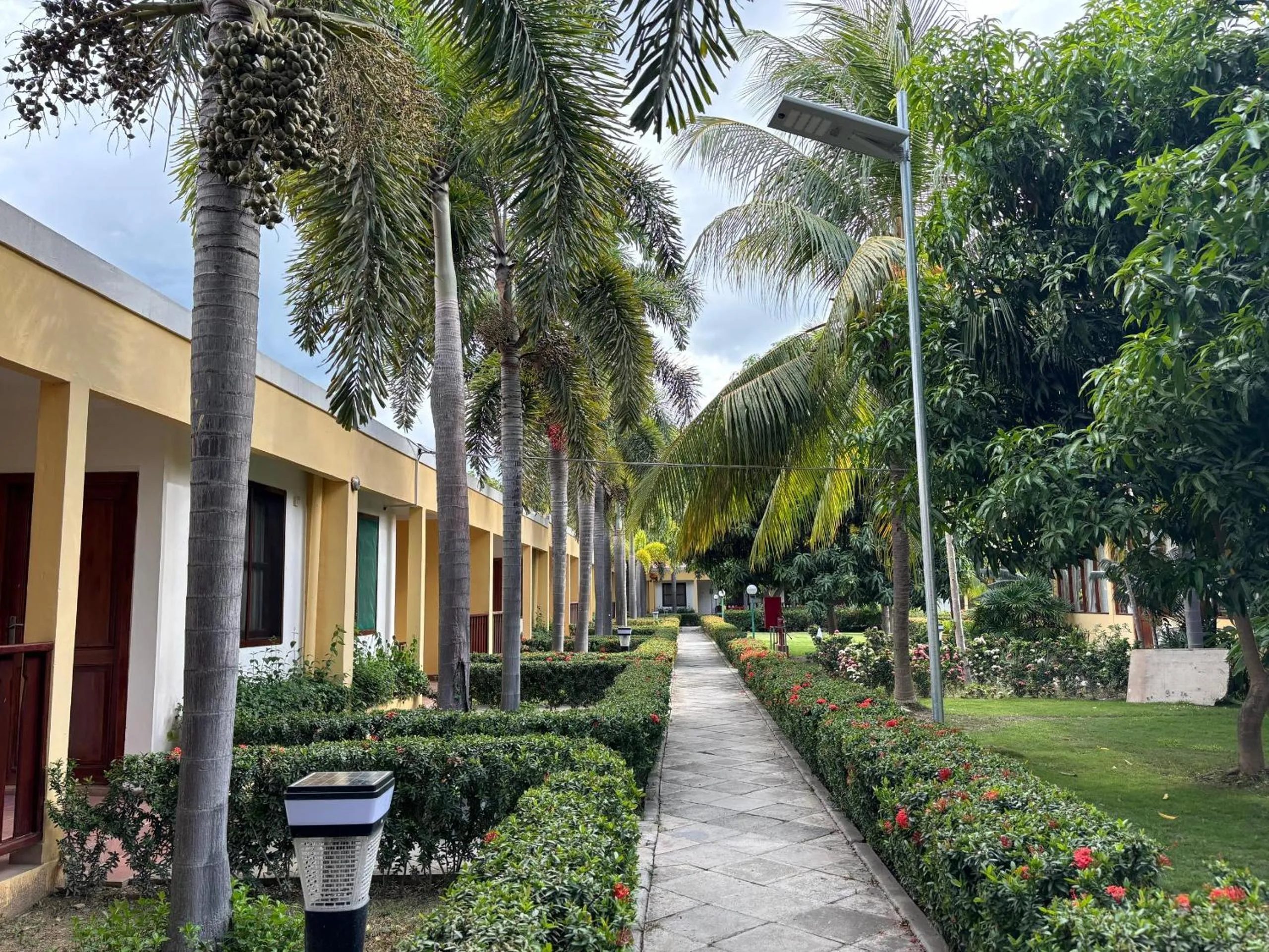 Property building in Palm Malinamoc Hotel