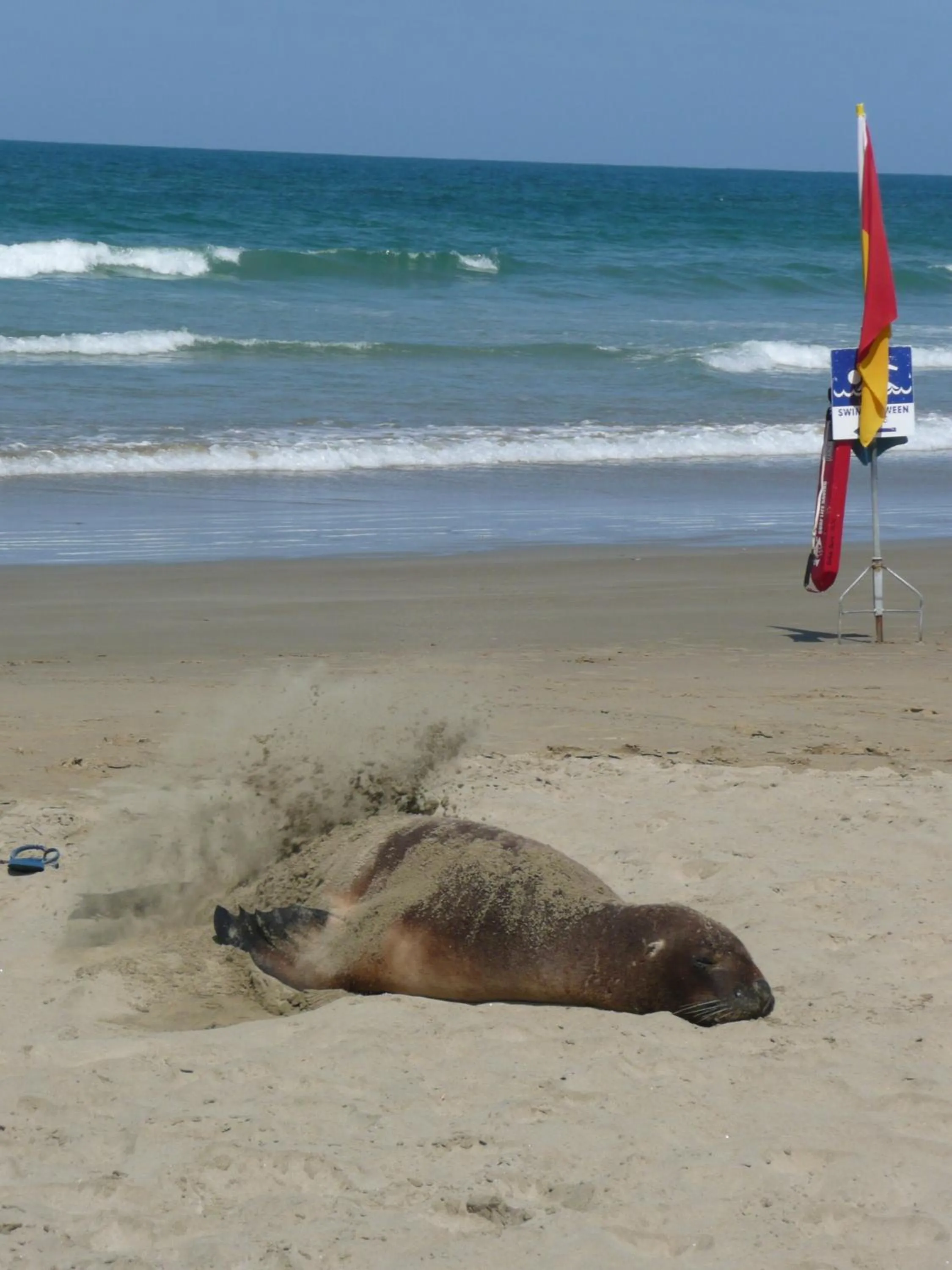 Beach in Thomas's Catlins Lodge and Camp Ground