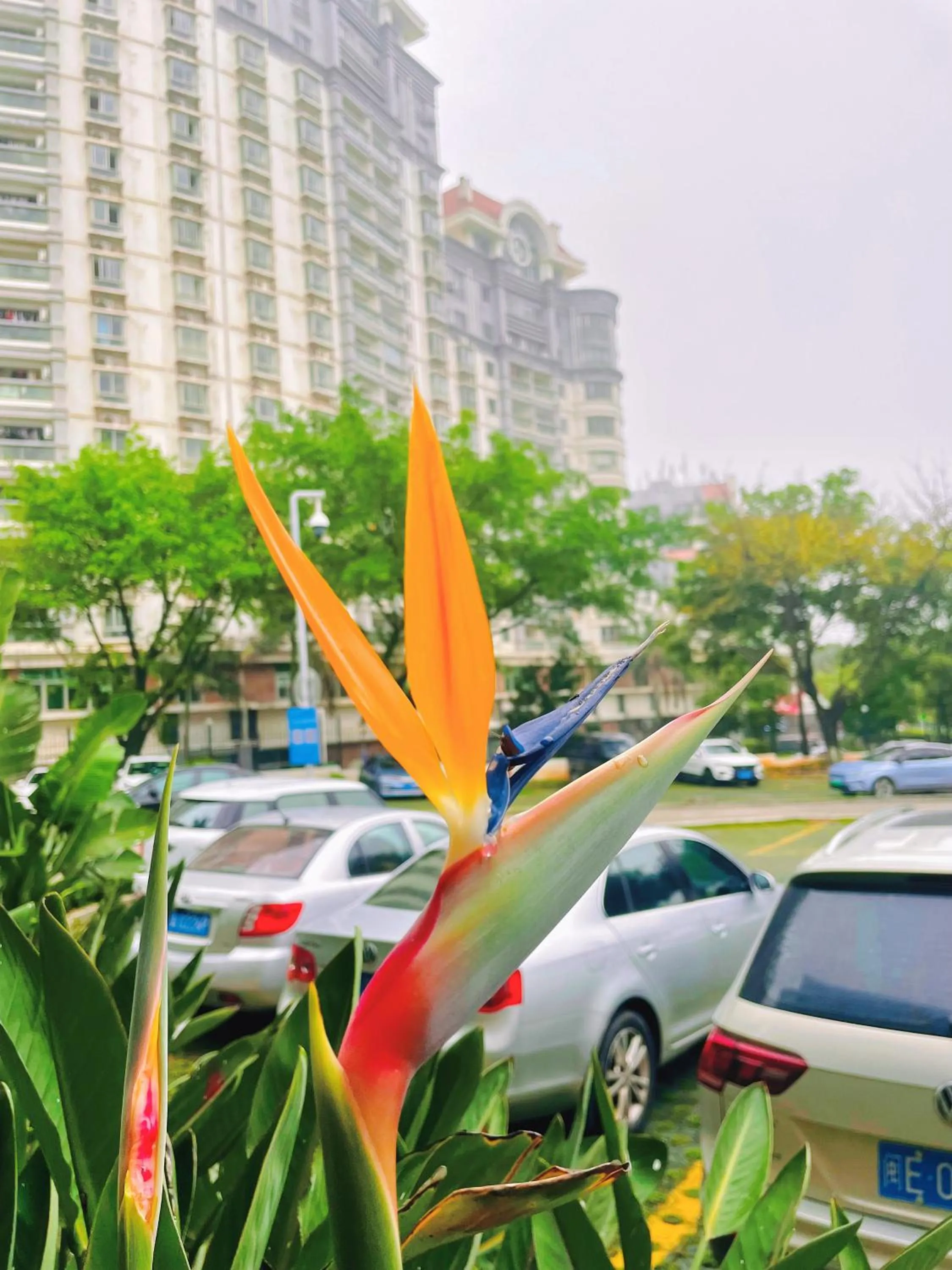 Property building in Xiamen Xiang An Yi Hao Hotel