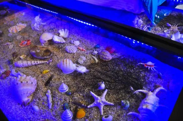 Decorative detail in Little SkyLark B&B