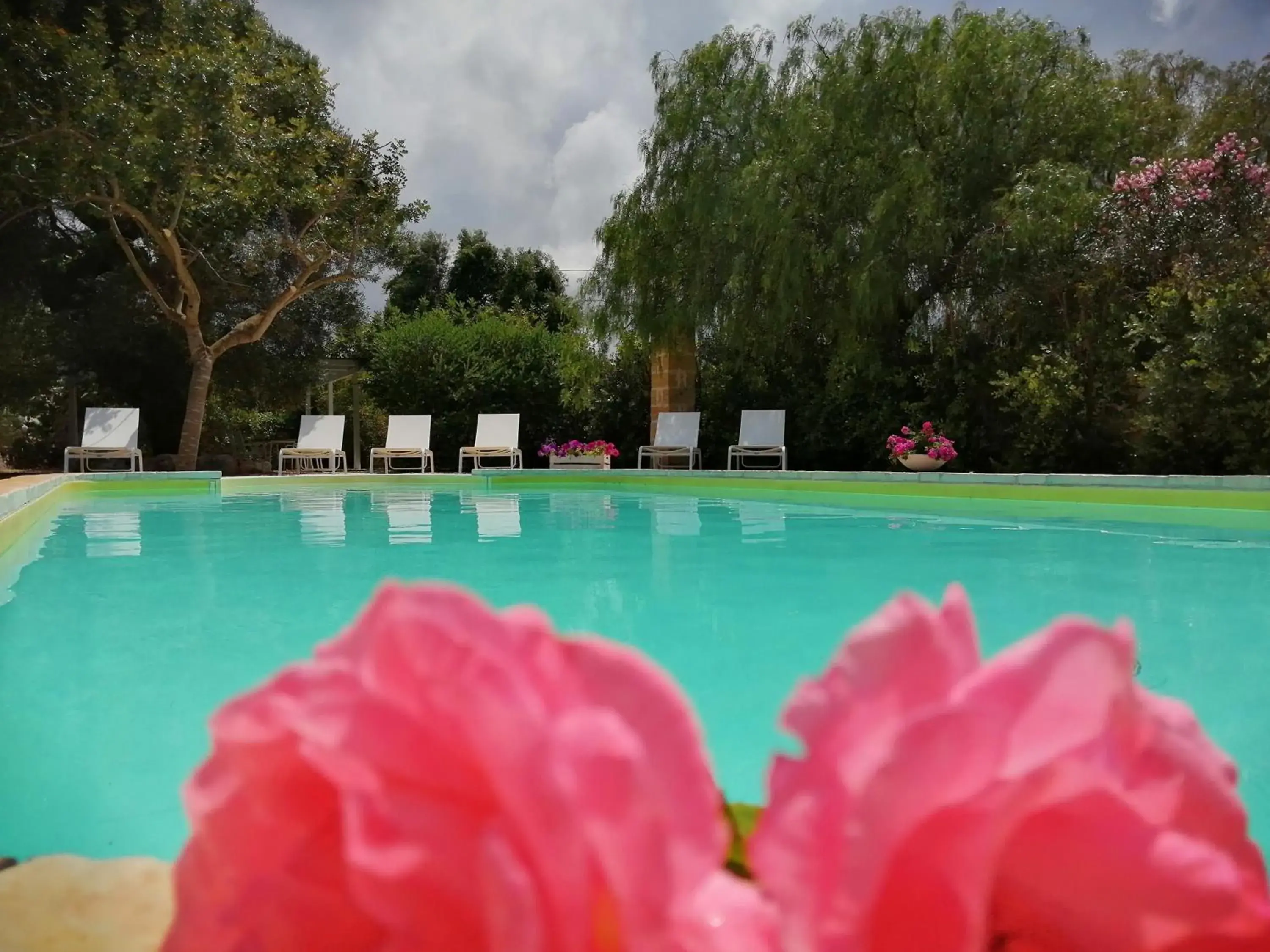Masseria Pugliese Farm Masseria Pugliese Farm