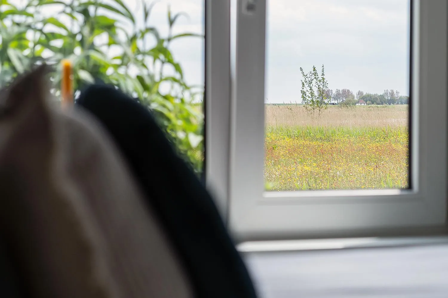 Garden view in Hotel het Anker van Texel