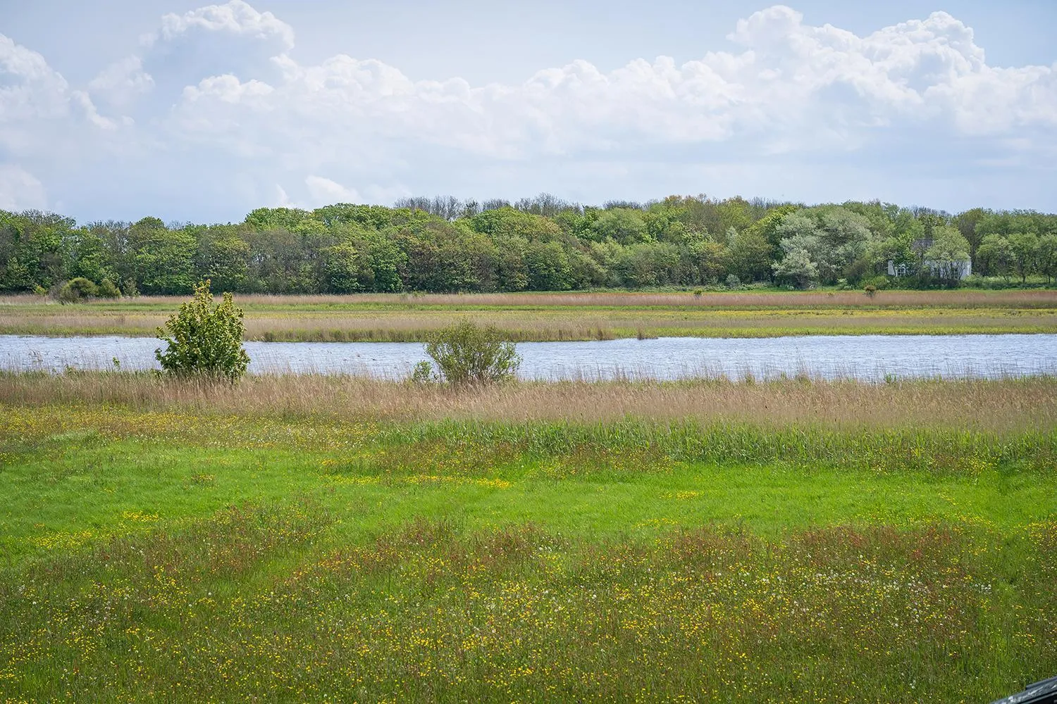 Natural landscape in Hotel het Anker van Texel