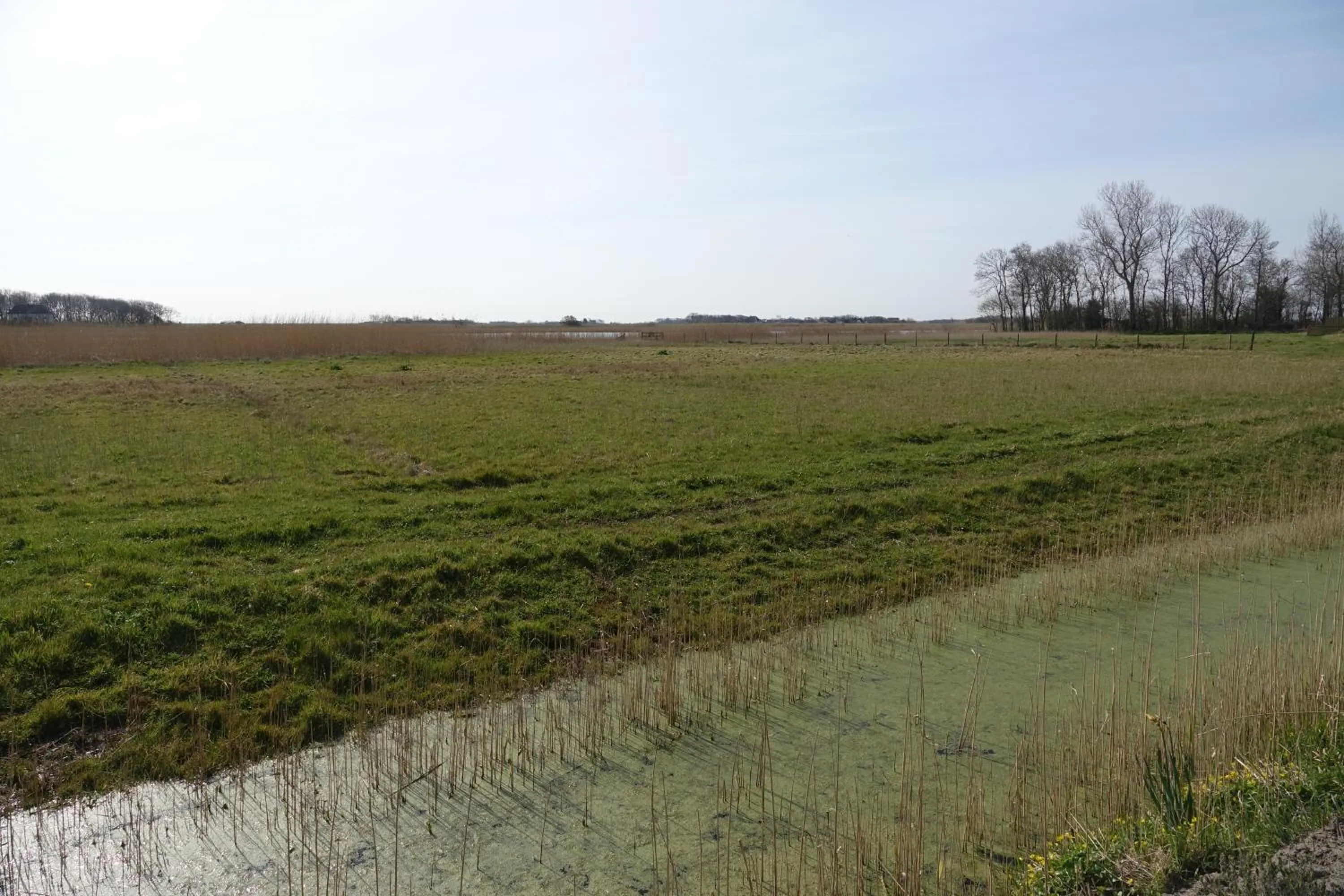 View (from property/room) in Hotel het Anker van Texel