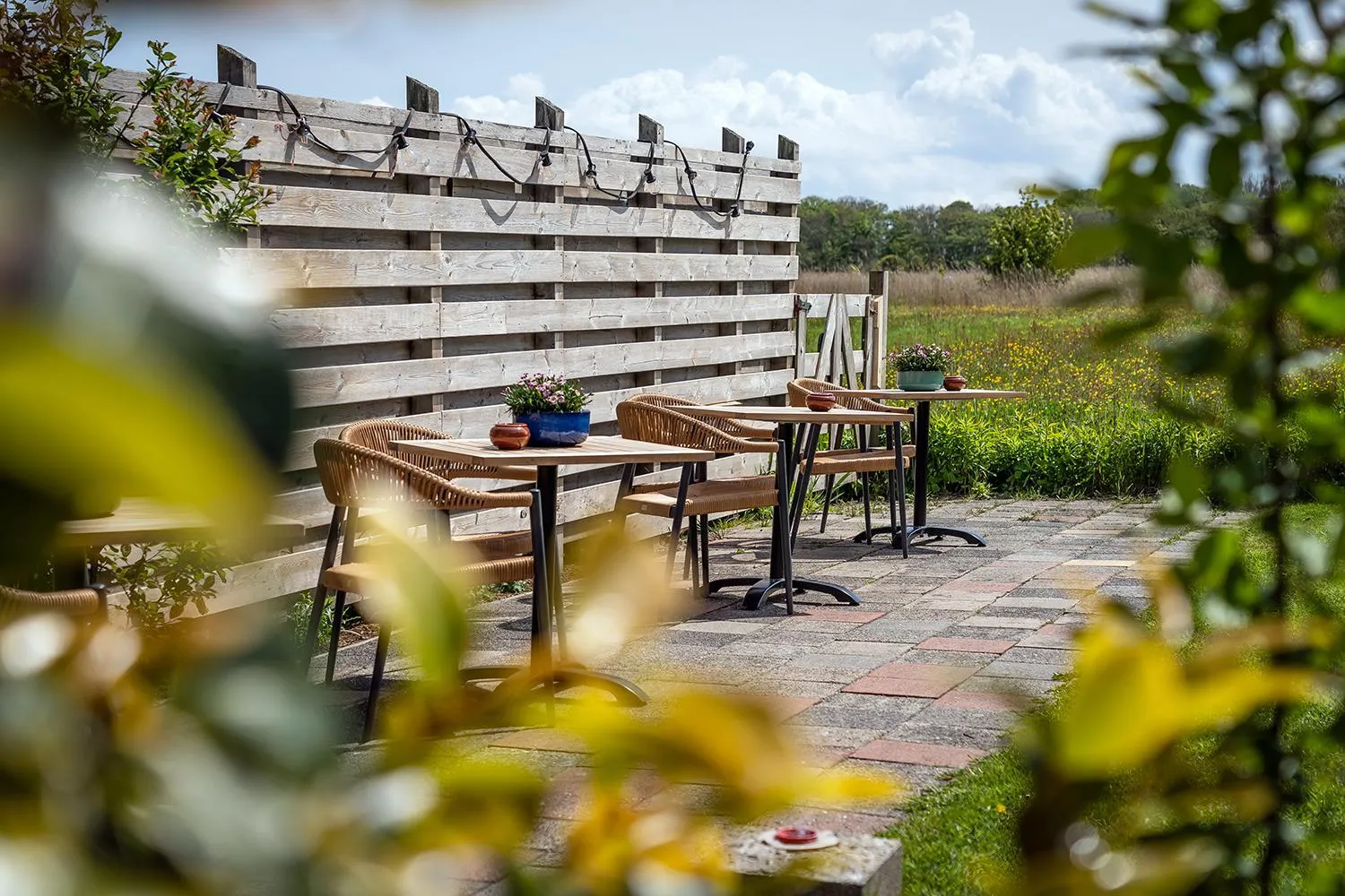 Garden in Hotel het Anker van Texel