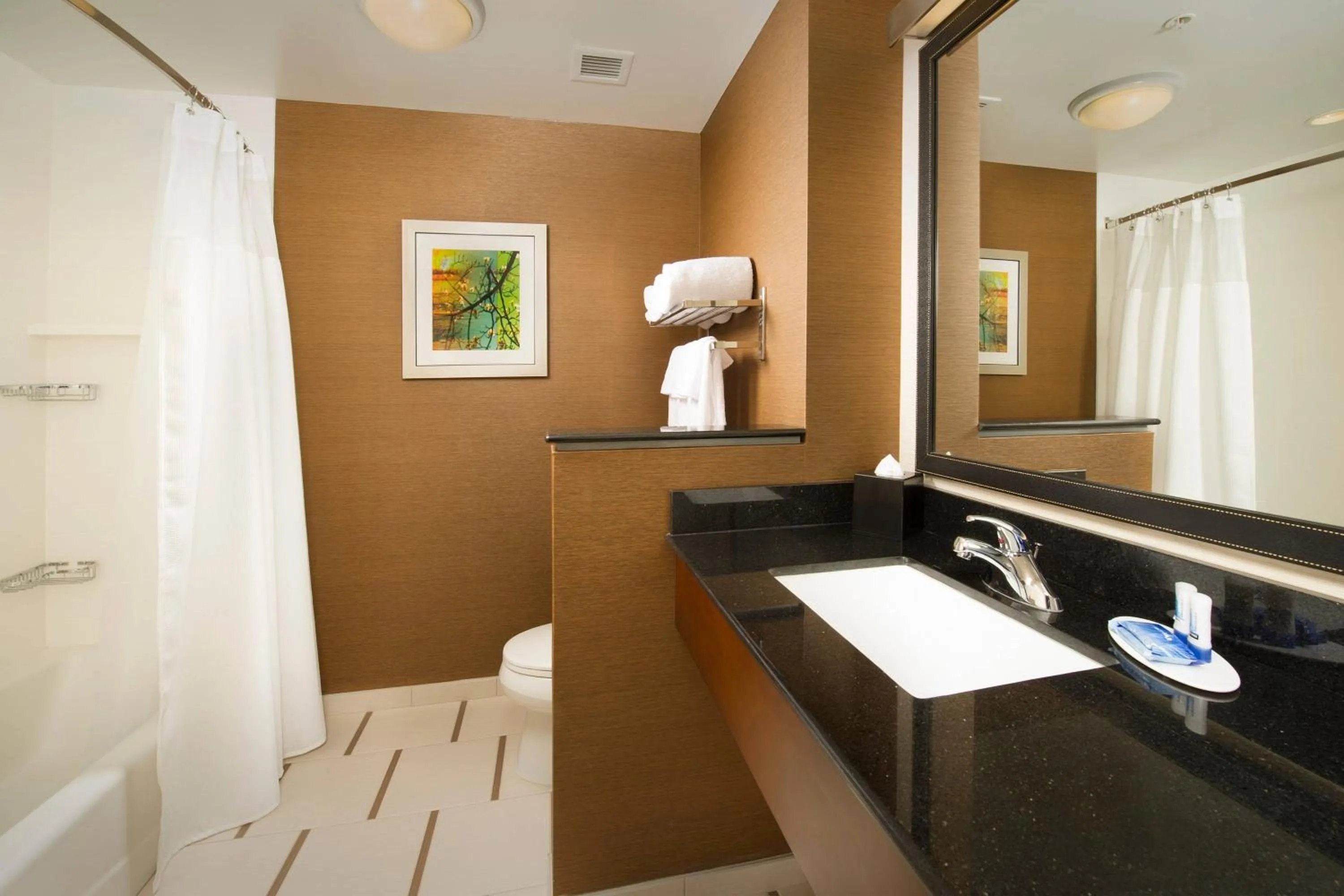 Bathroom in Fairfield Inn & Suites by Marriott Arundel Mills BWI Airport